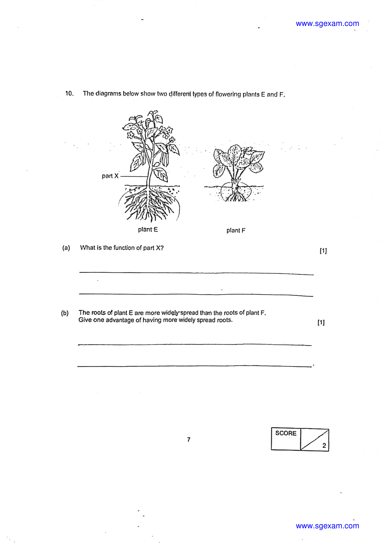 Answer Page 8