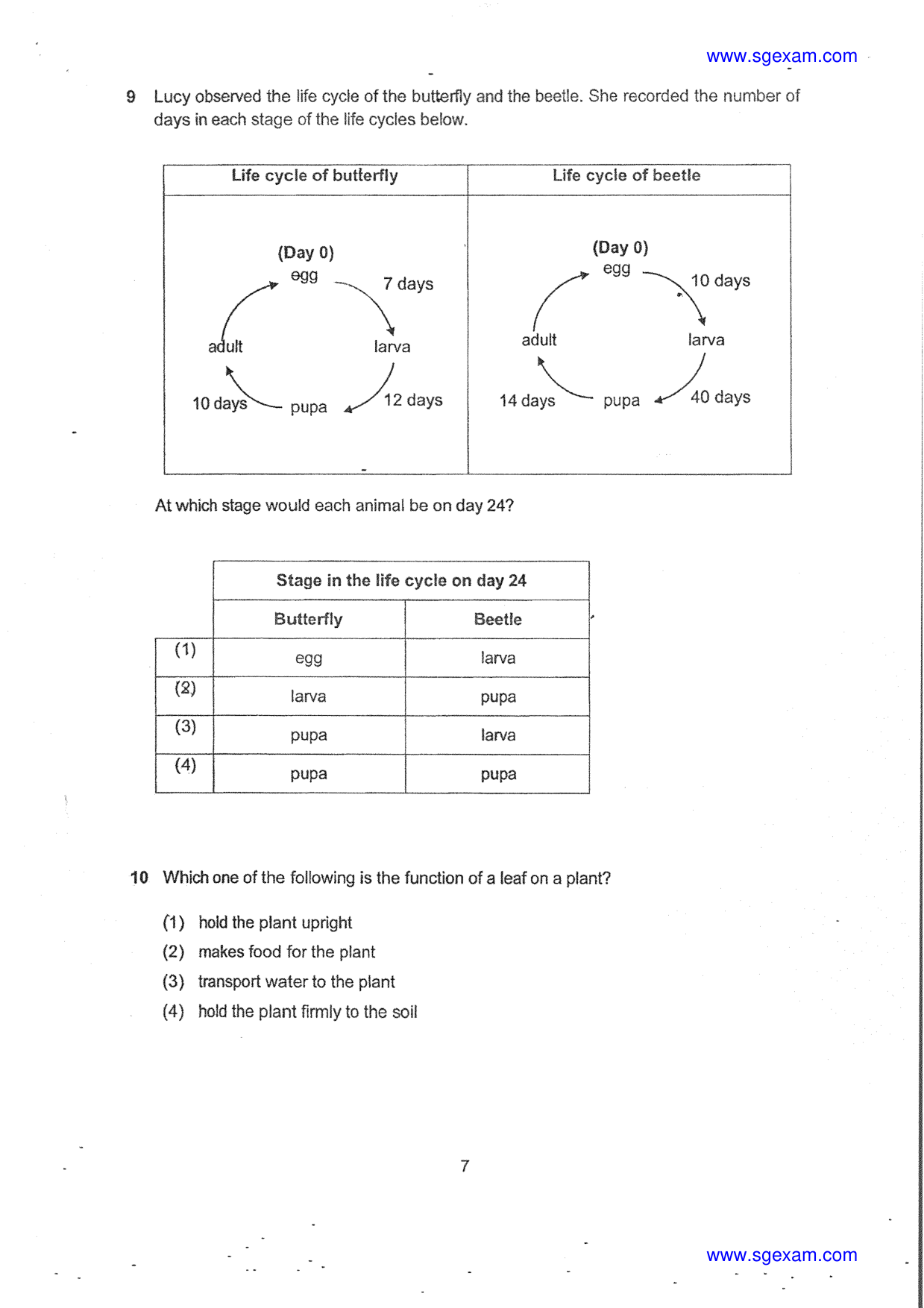 Page 7