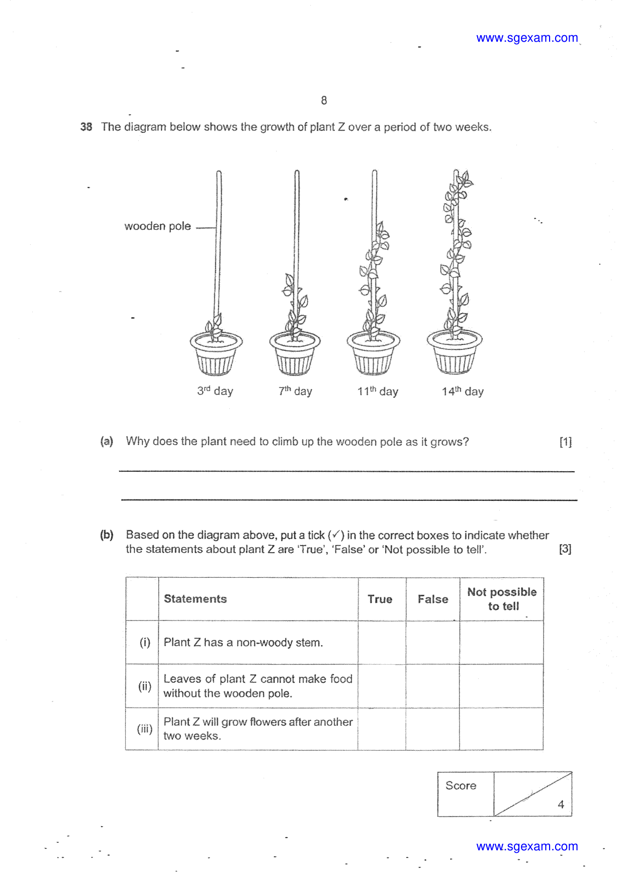 Answer Page 28