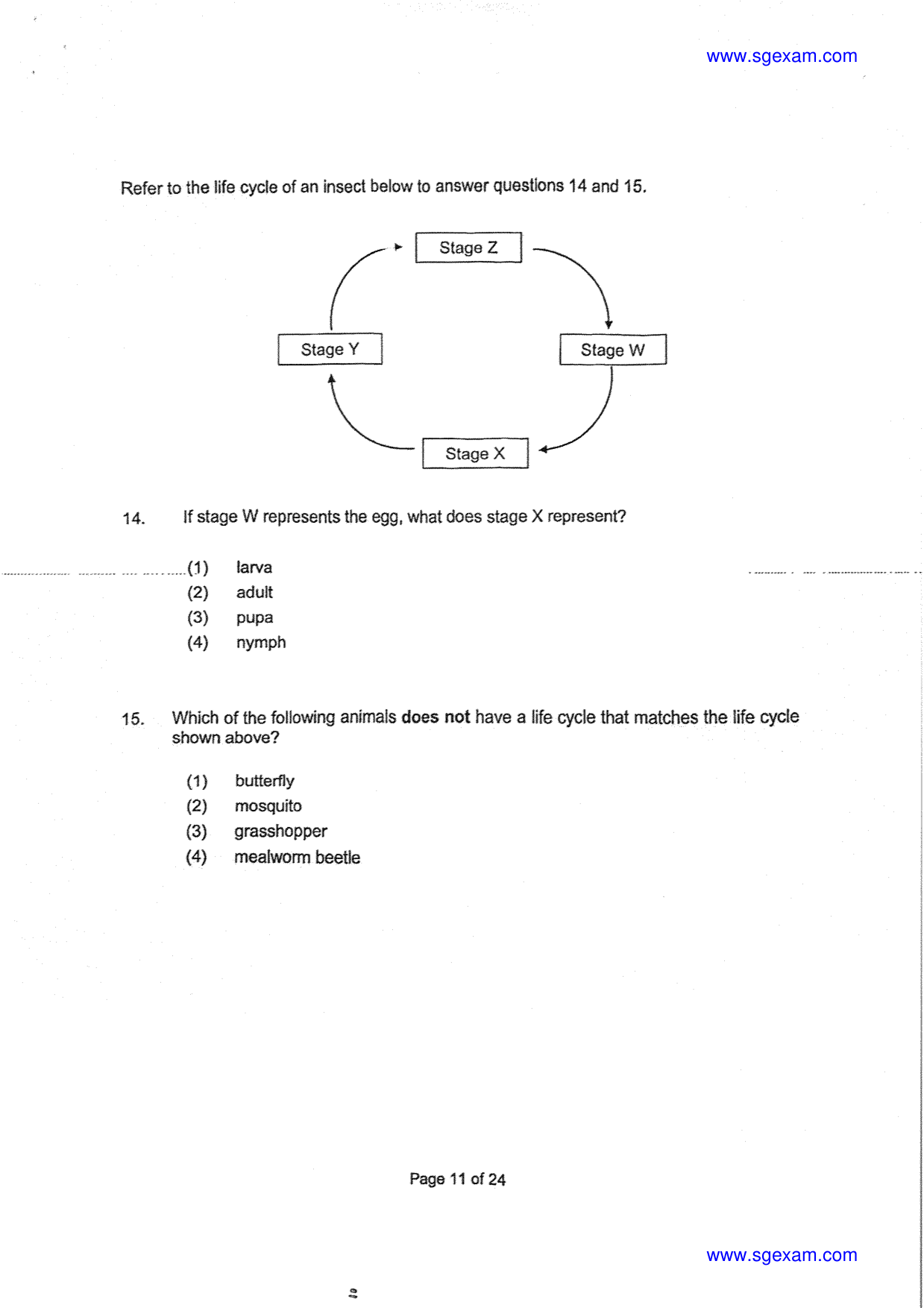 Page 11