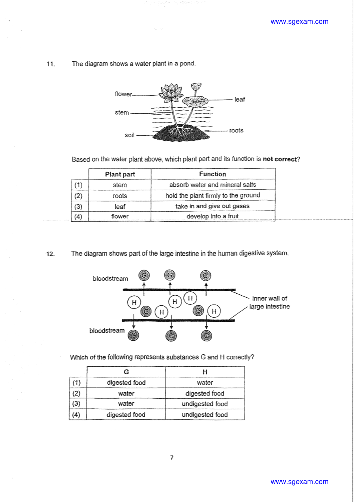 Page 7