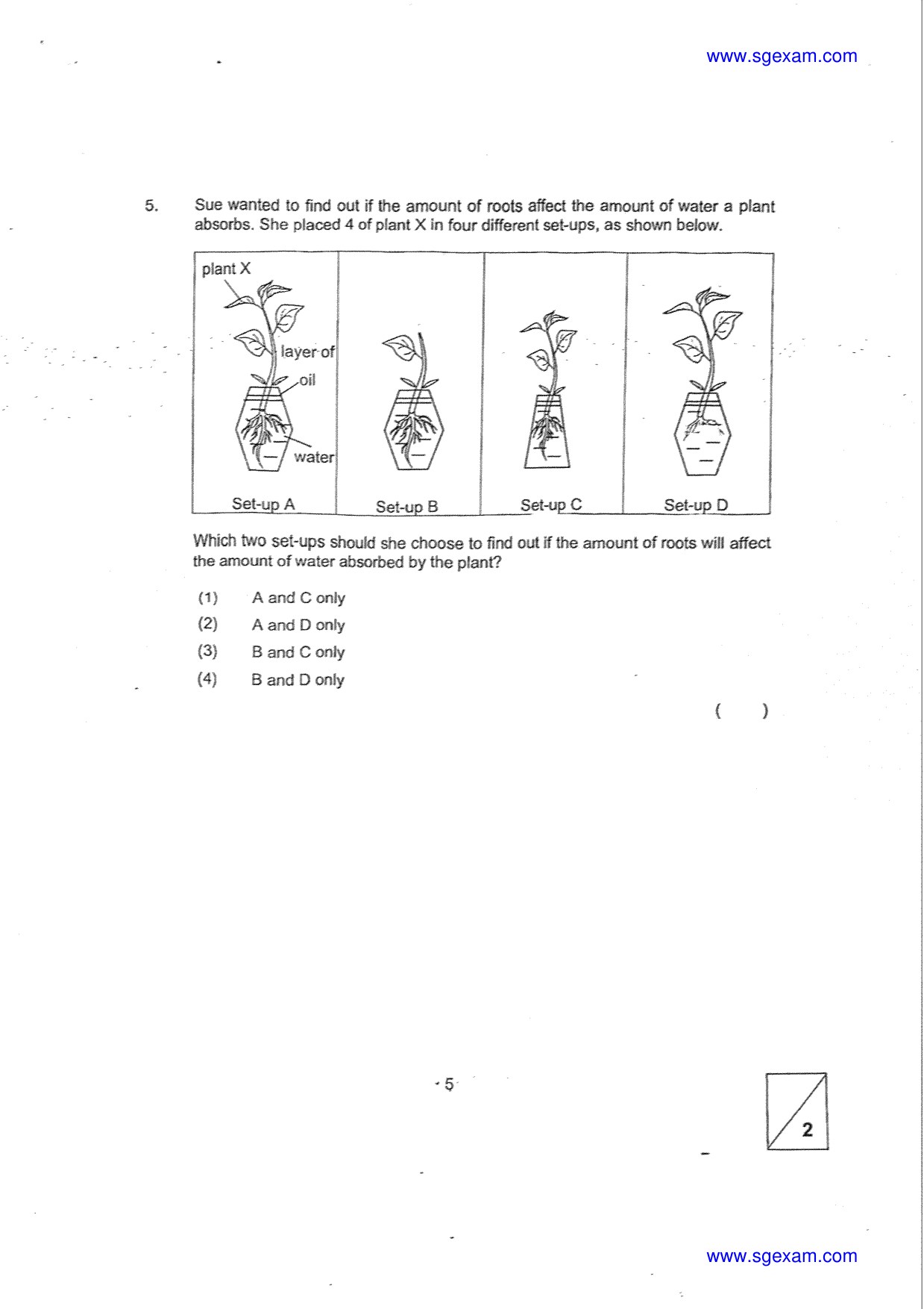 Page 5