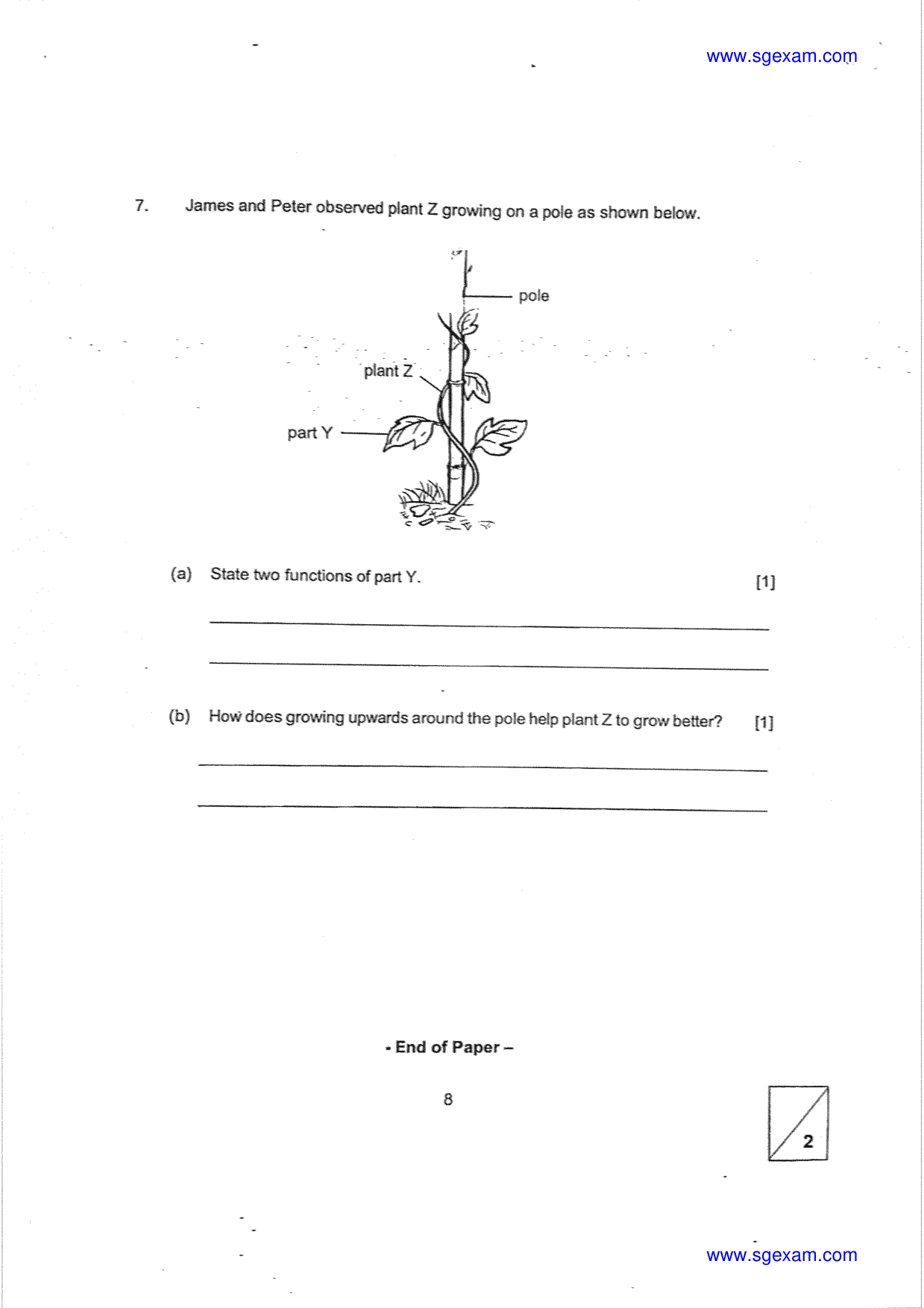 Answer Page 8