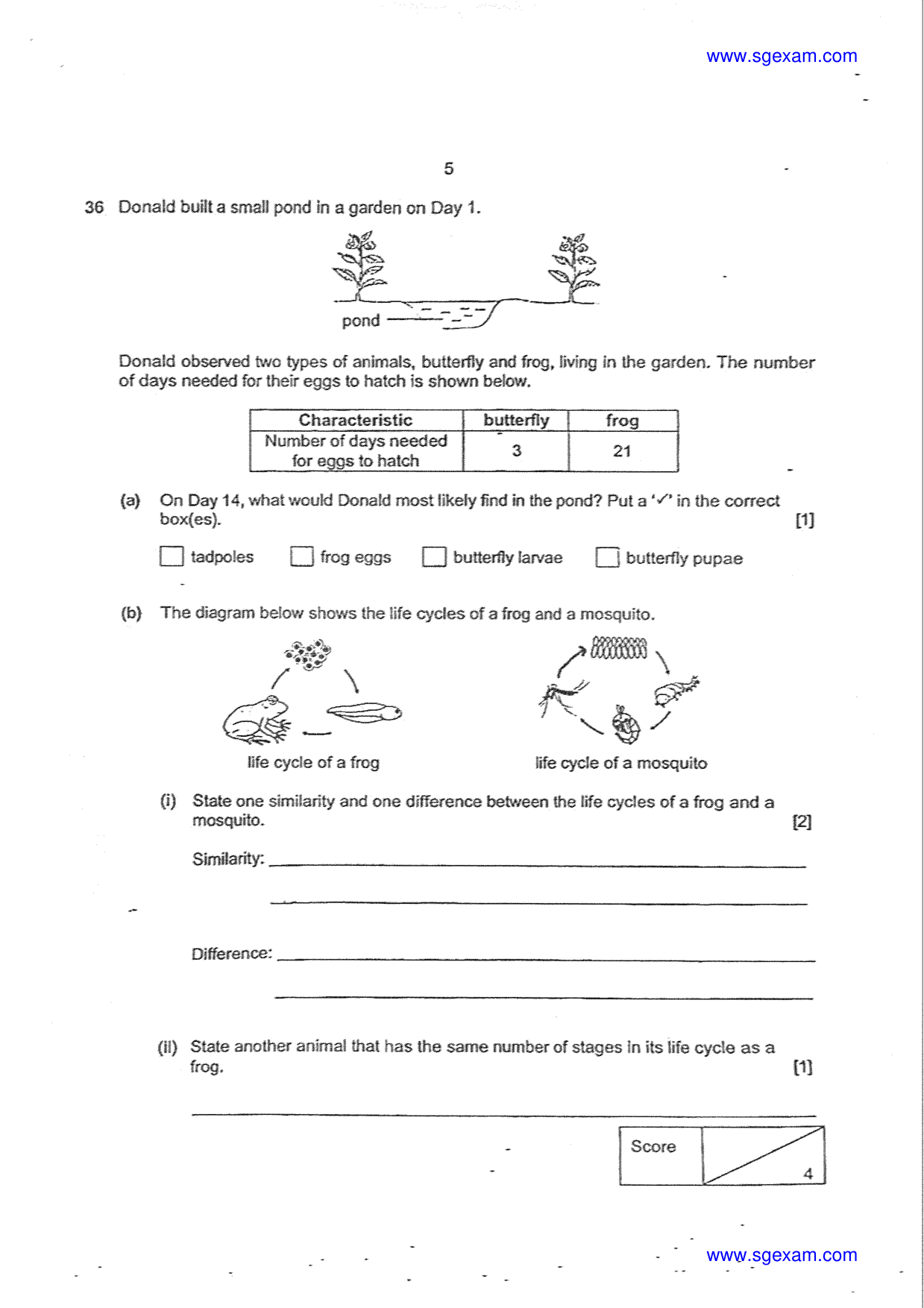 Answer Page 25