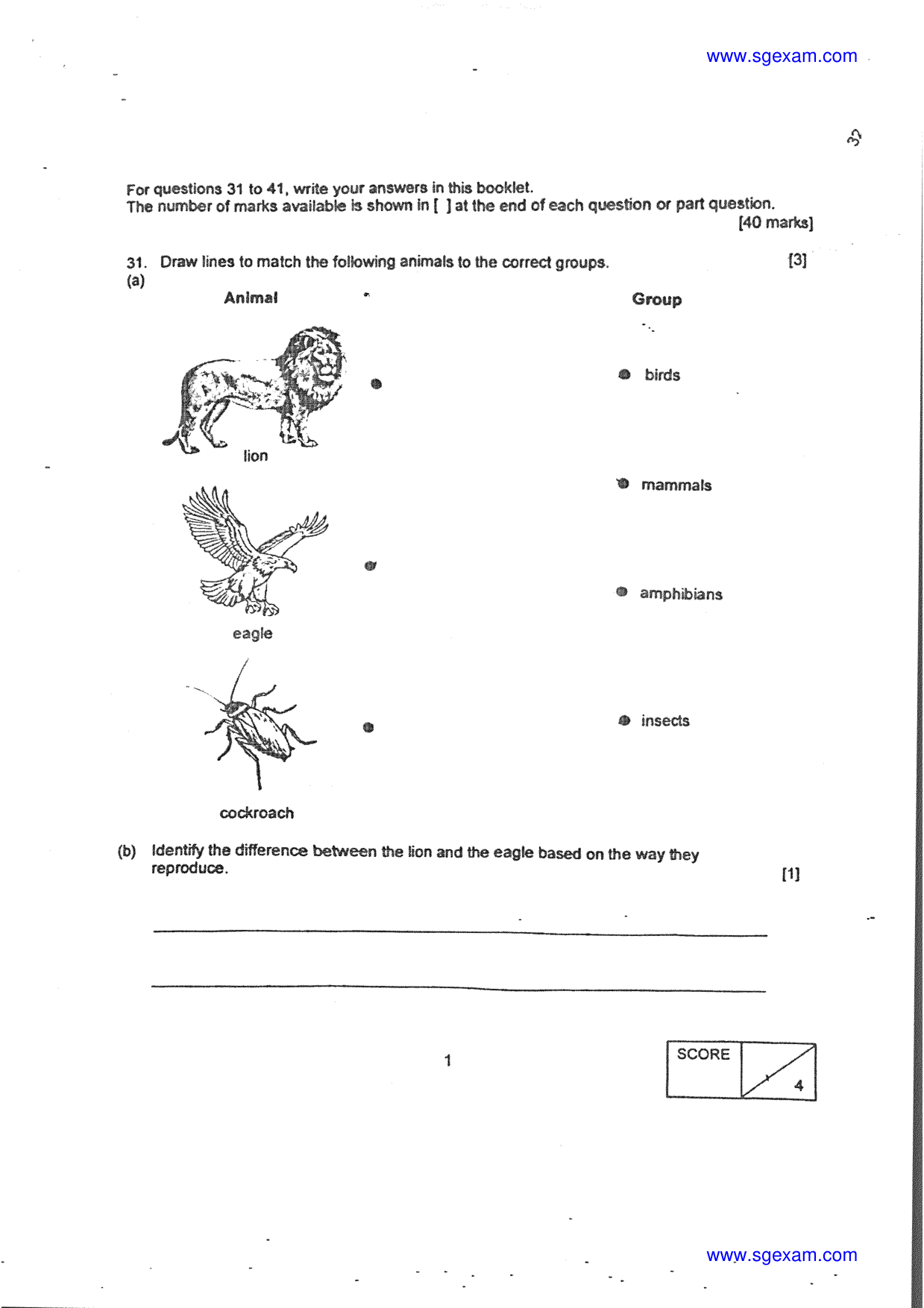 Answer Page 21