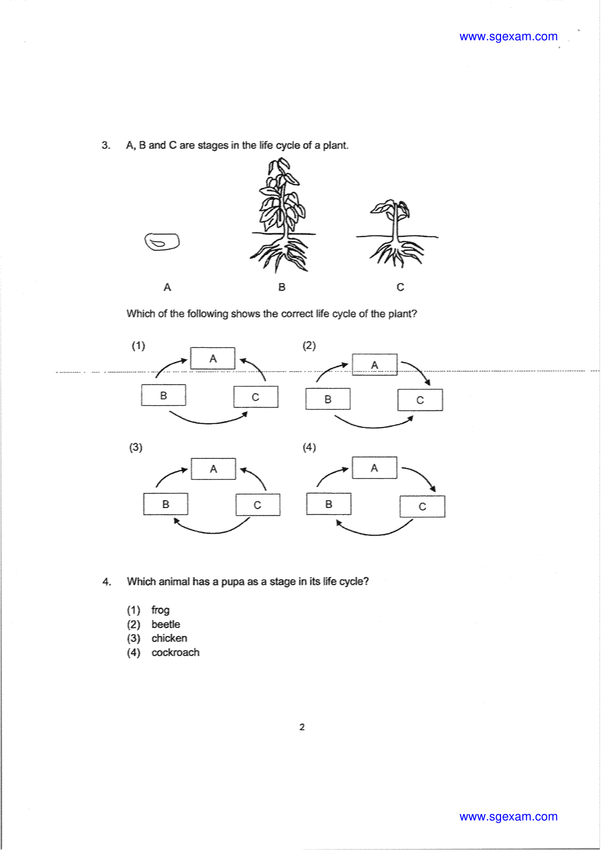 Page 4