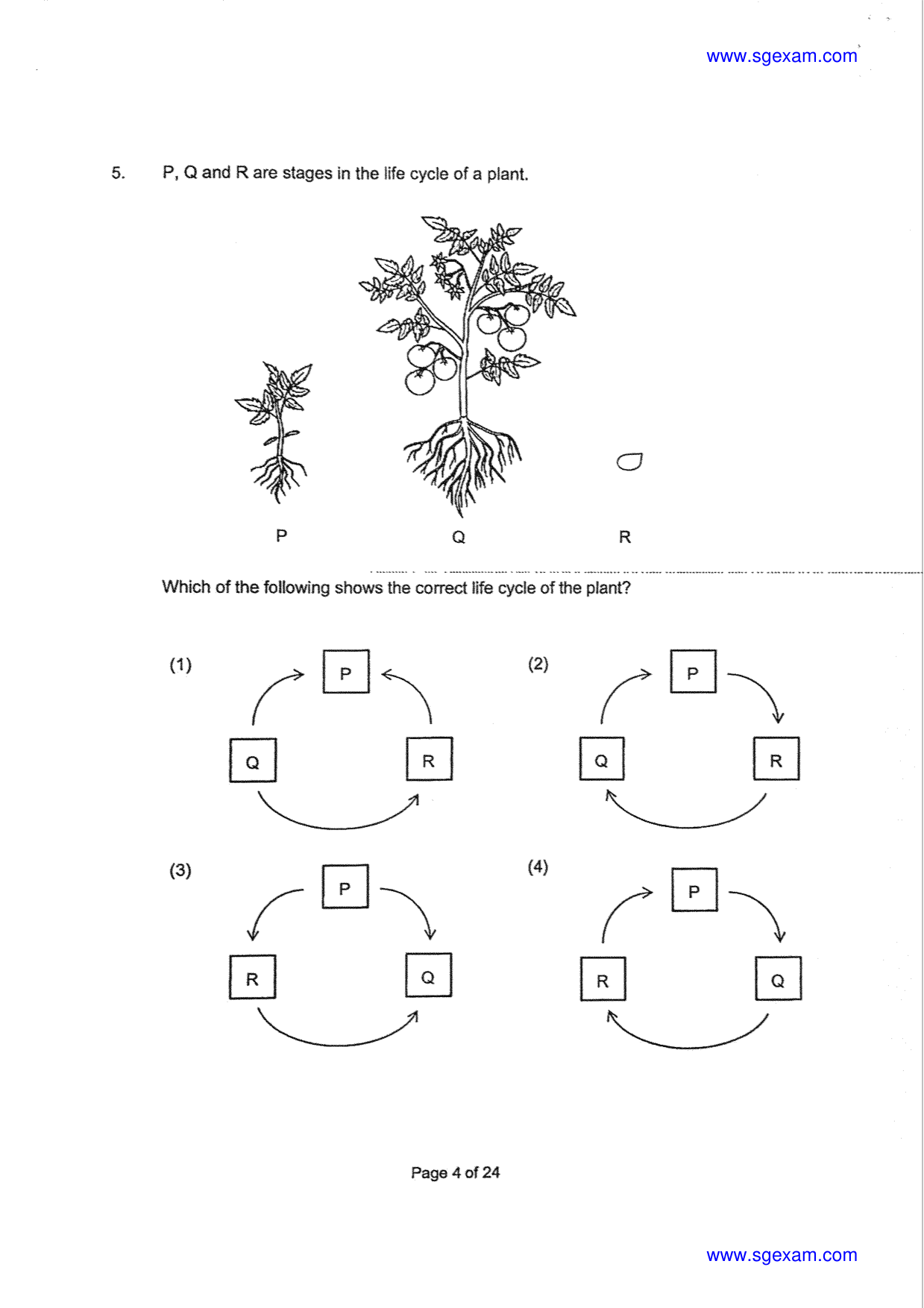 Page 4