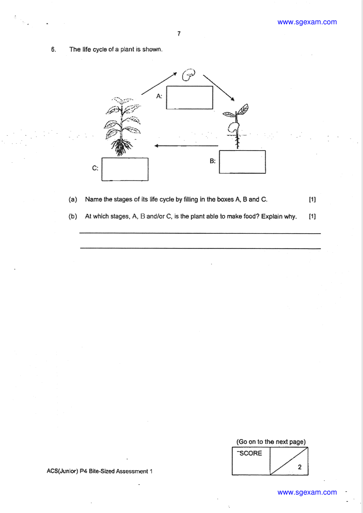 Answer Page 7