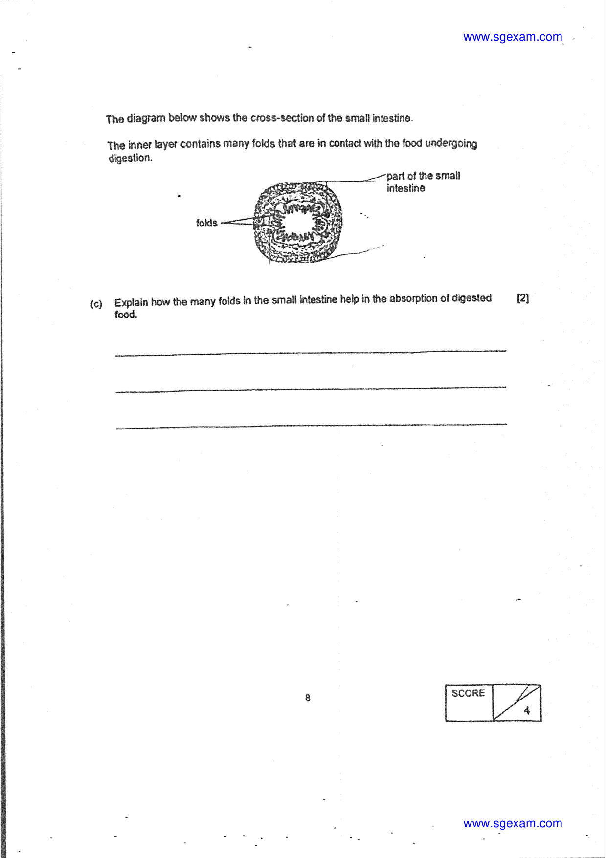 Answer Page 28