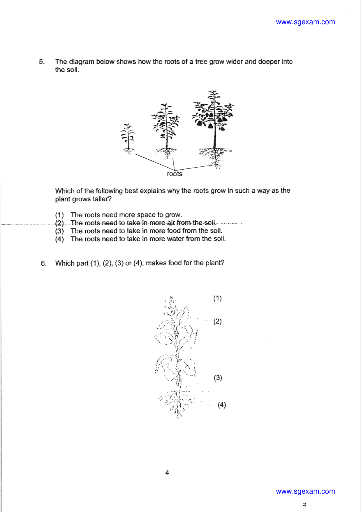 Page 4