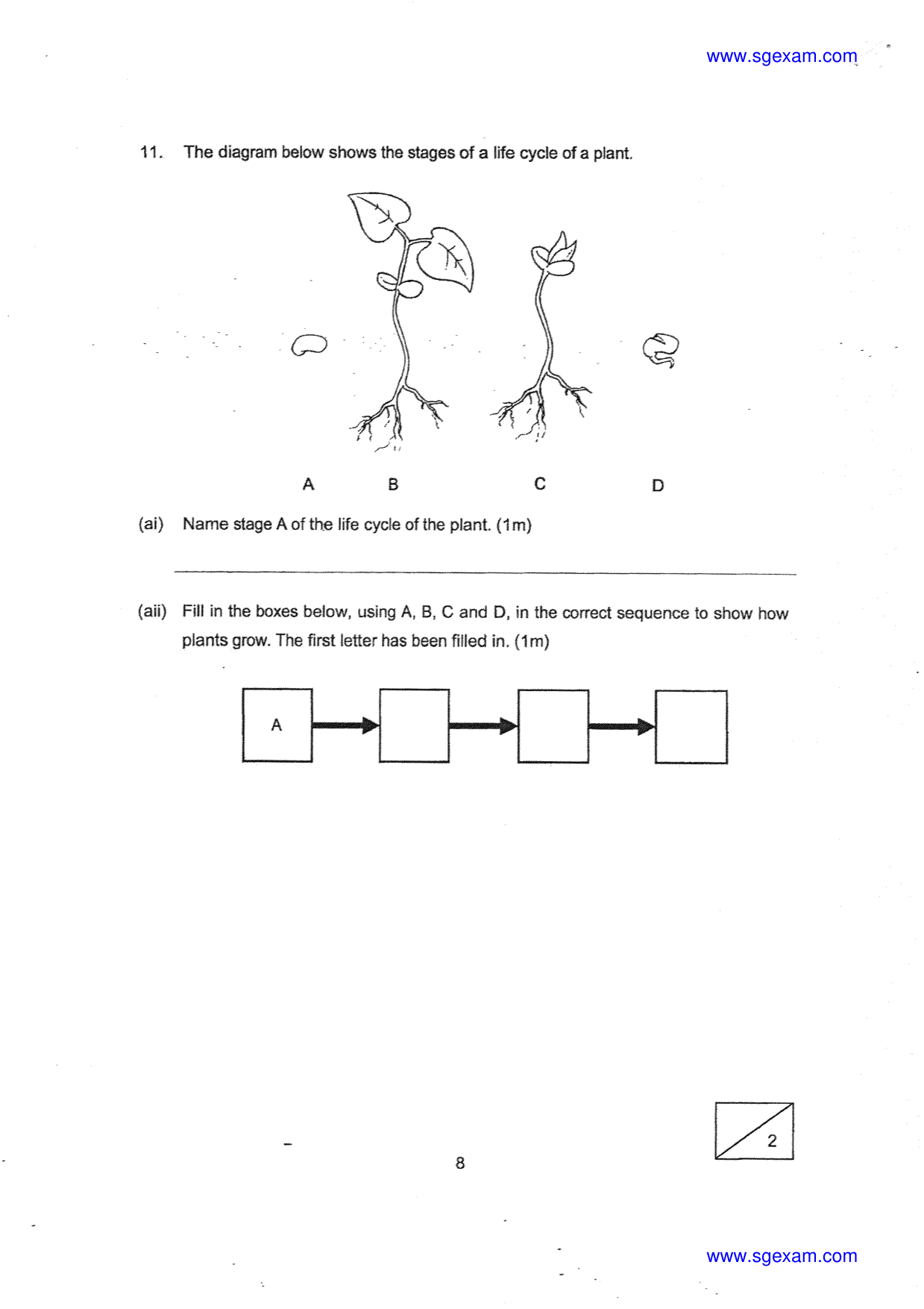 Answer Page 8