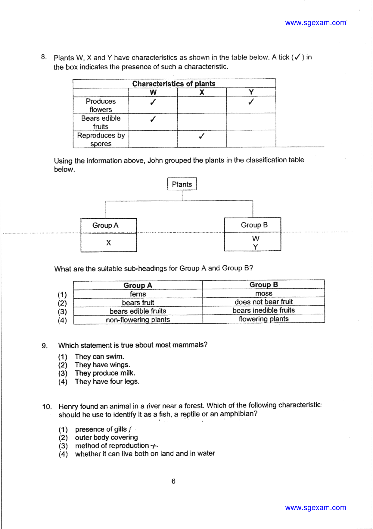 Page 6