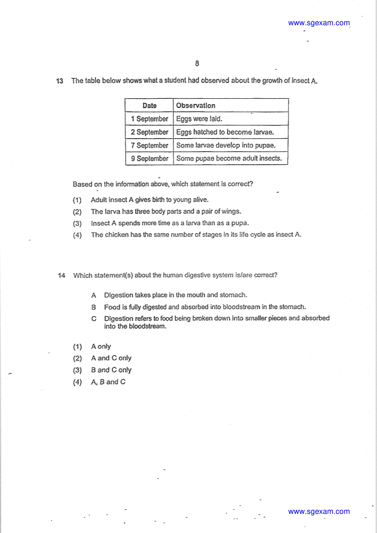 Page 8