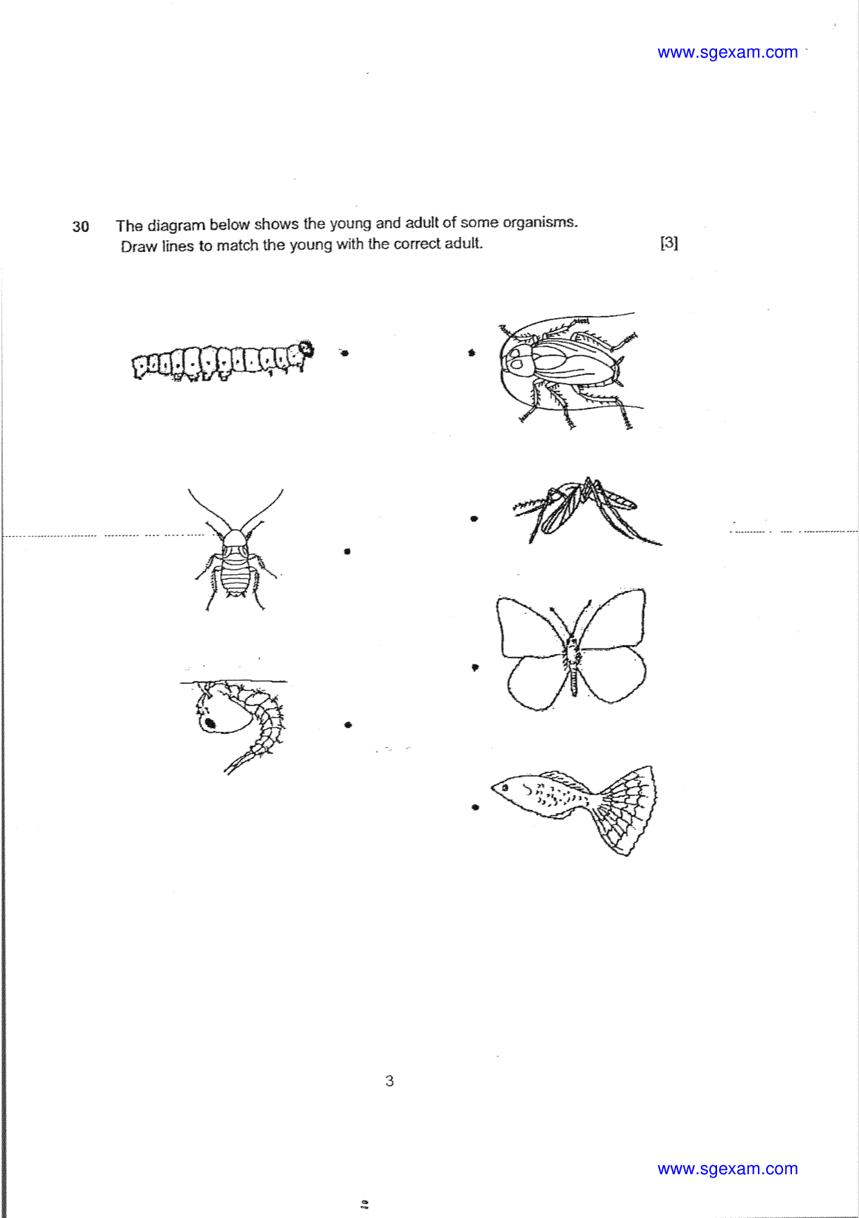 Answer Page 28