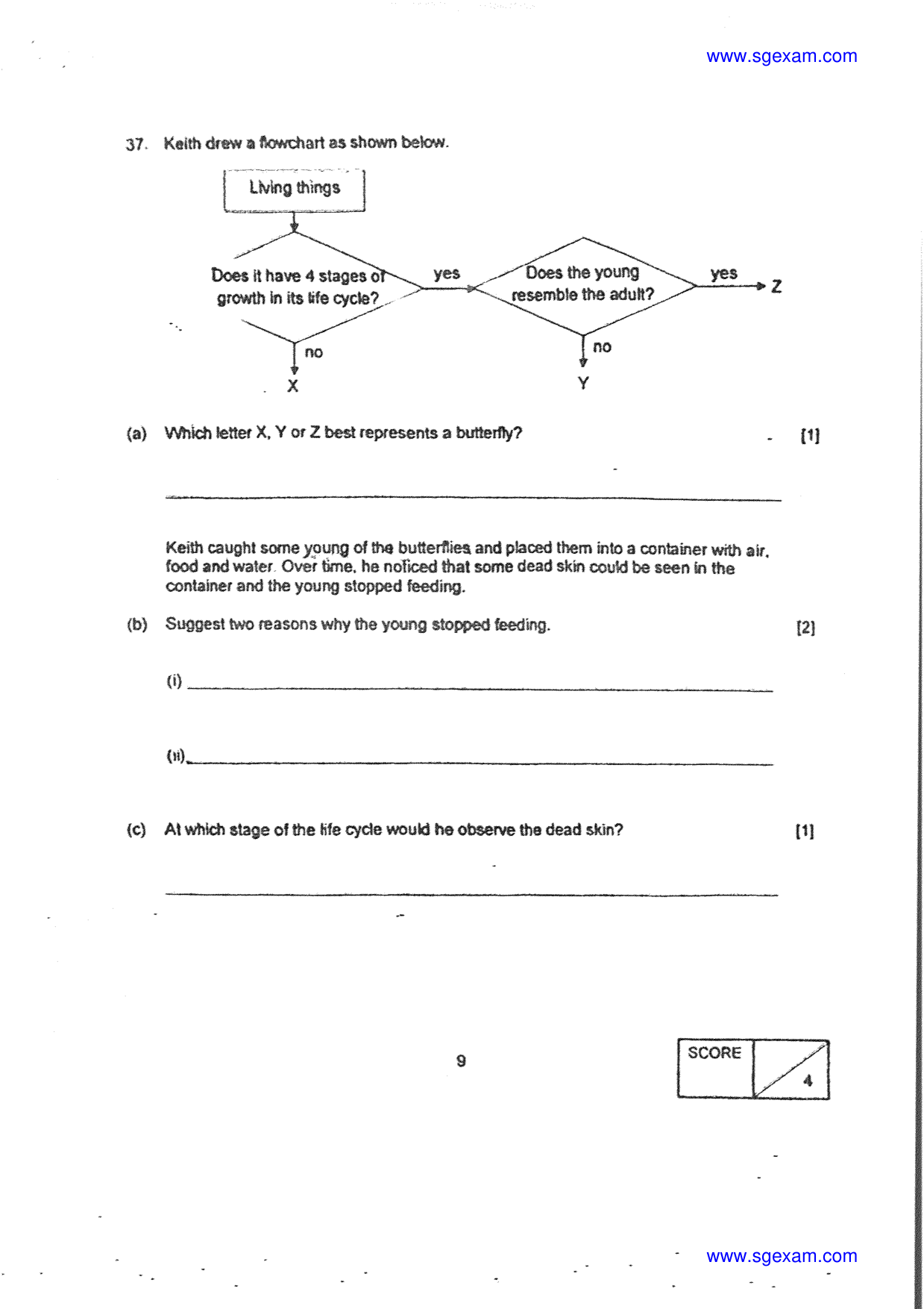 Answer Page 29