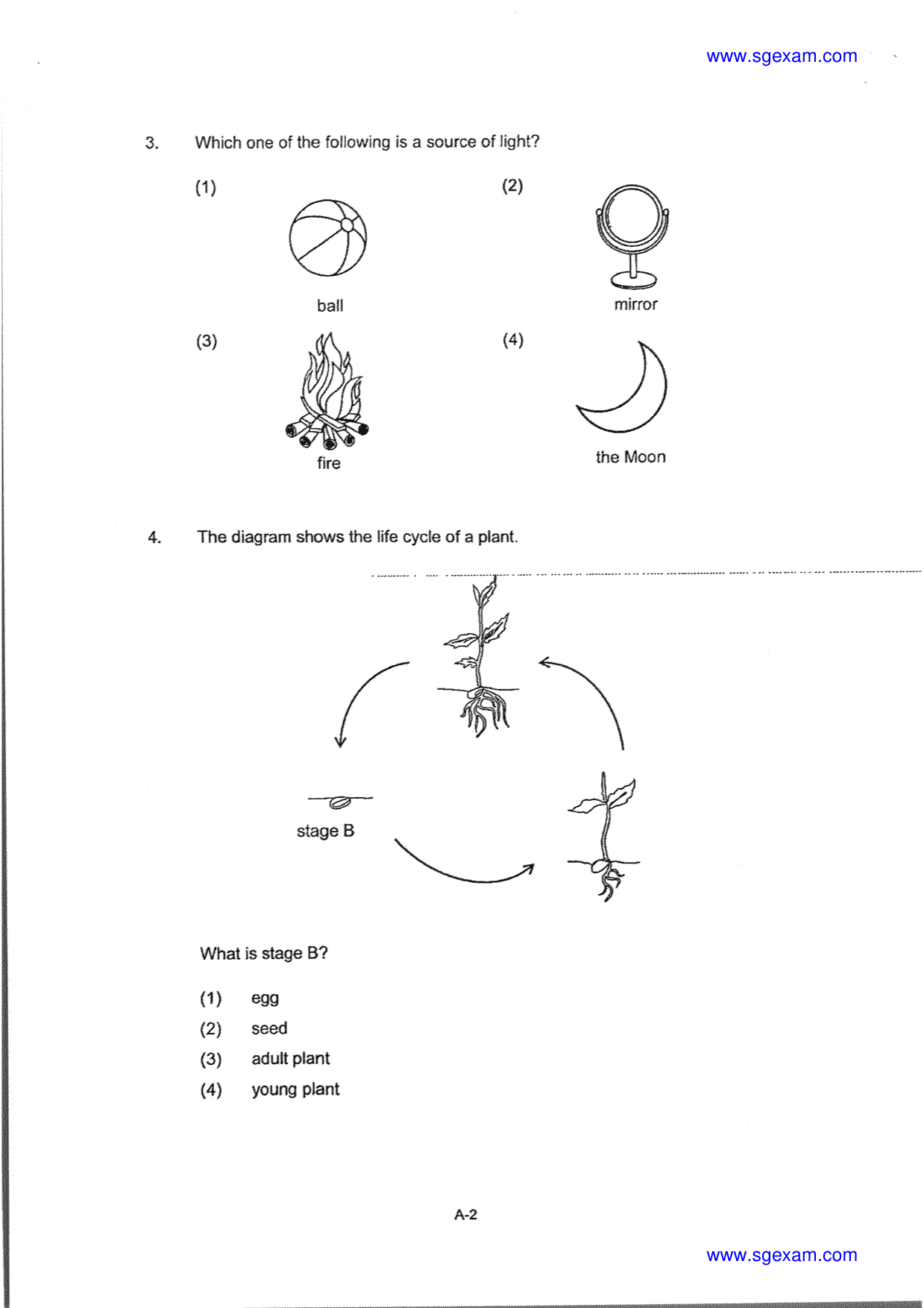Page 4