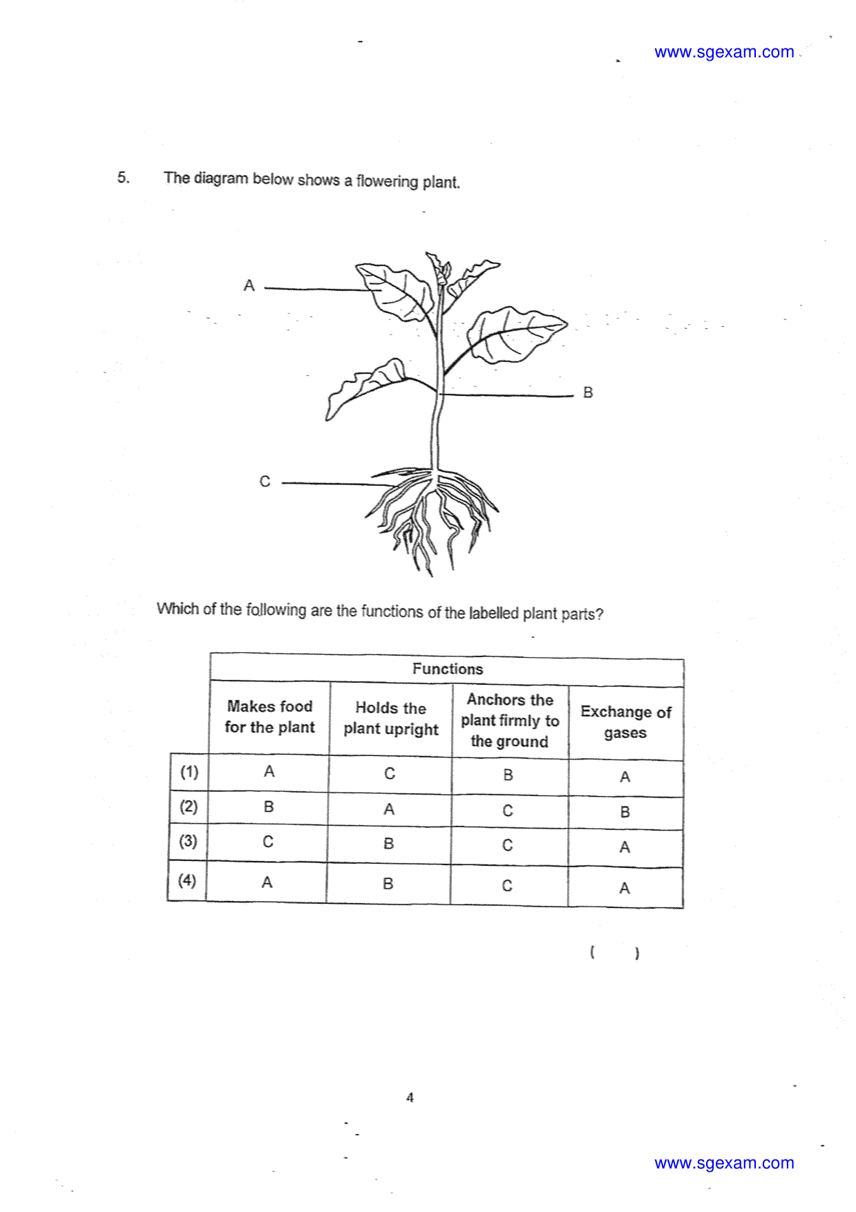 Page 4
