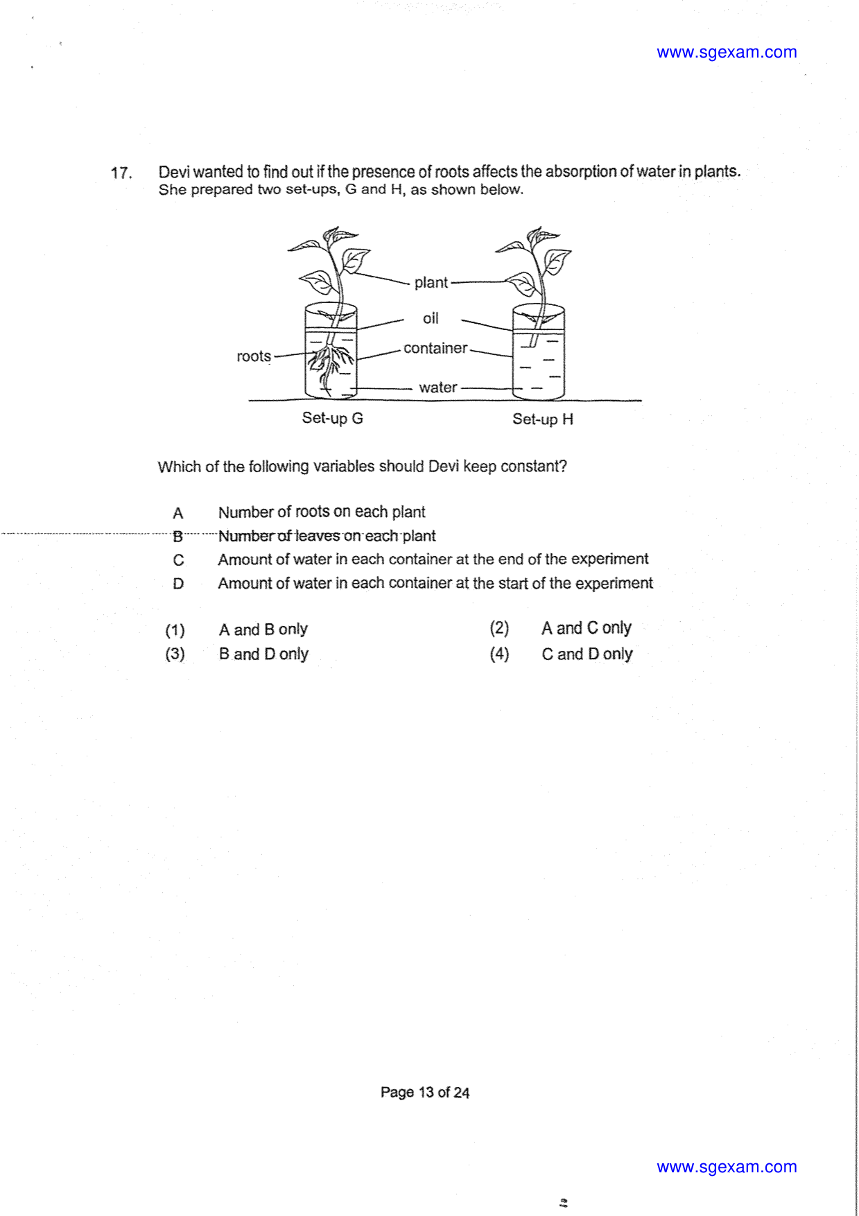 Page 13