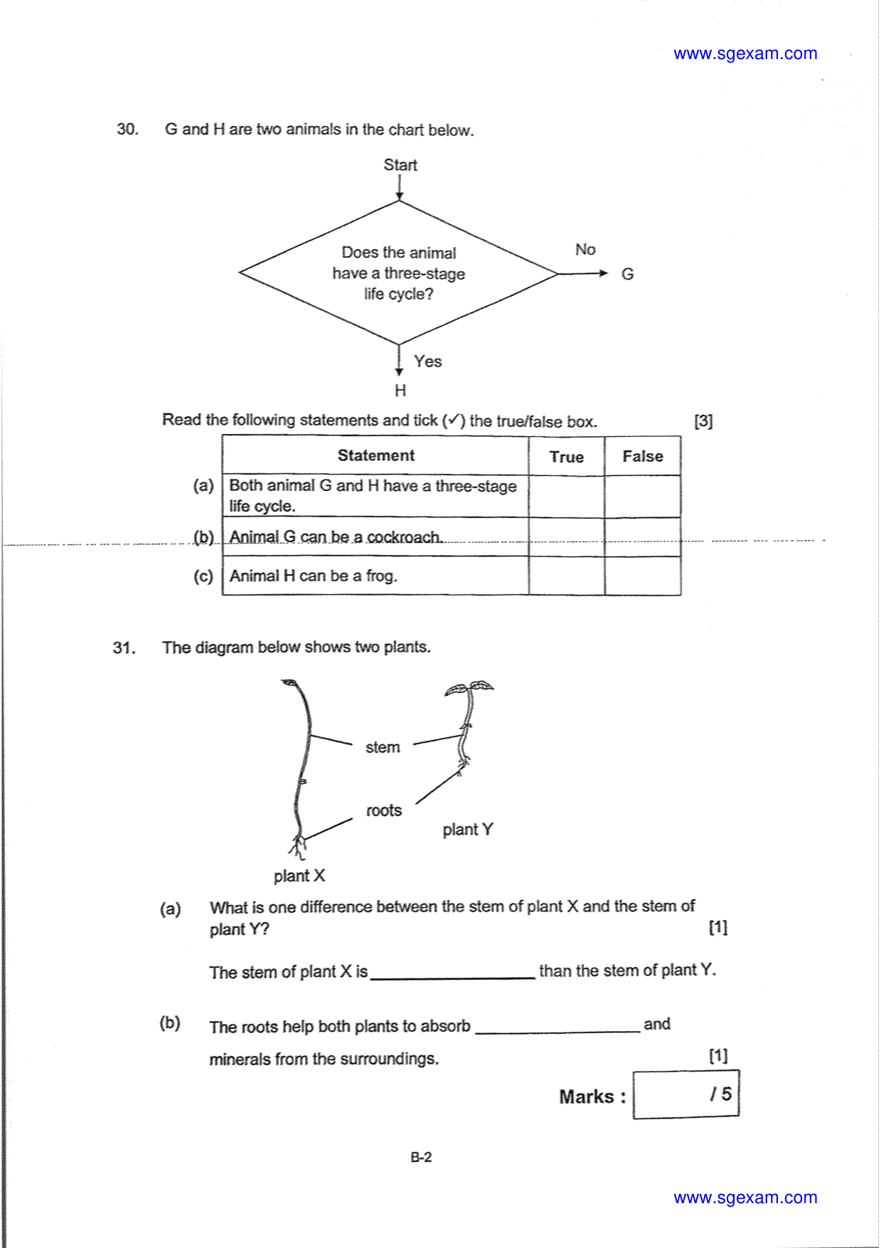 Answer Page 24