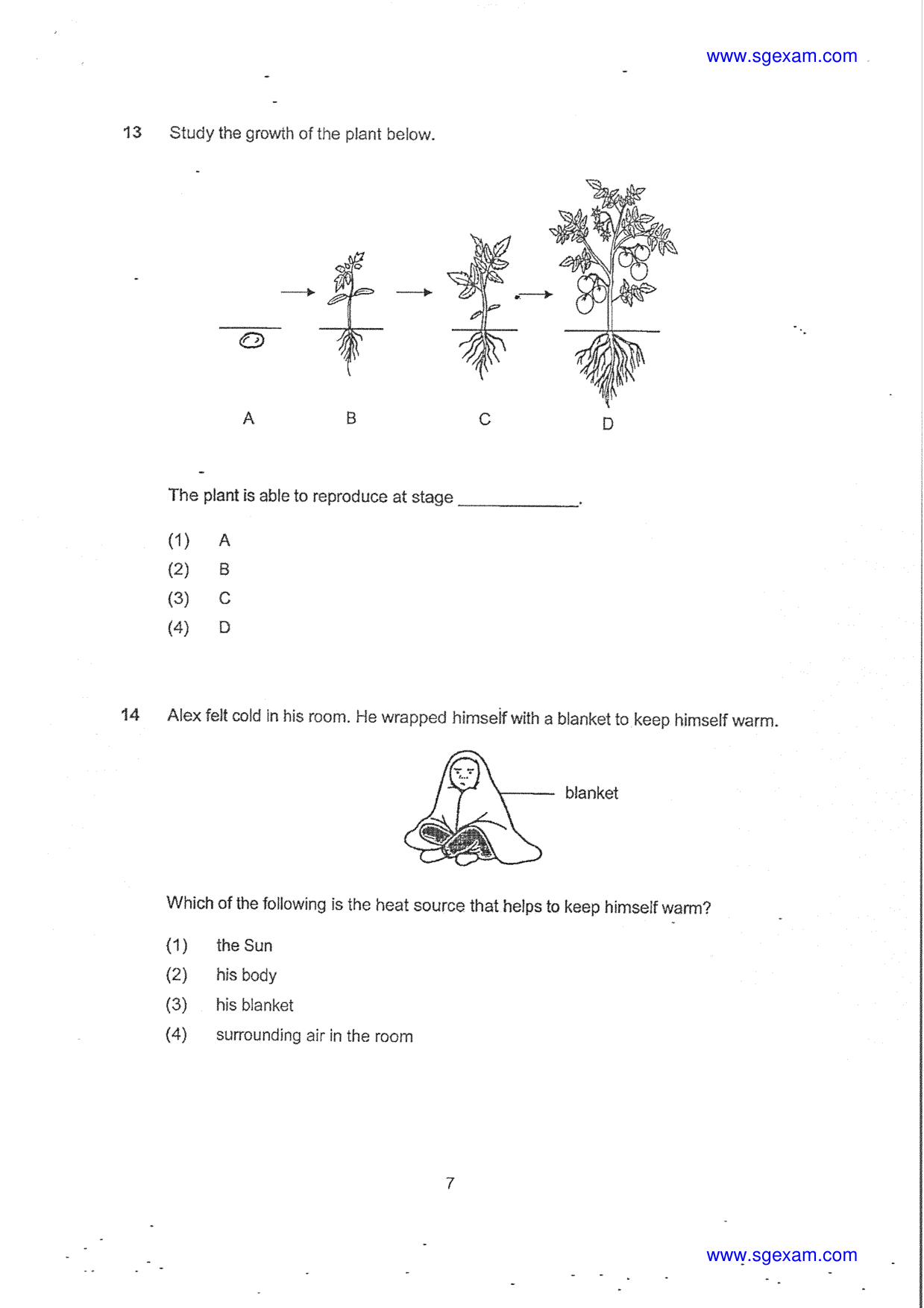 Page 7