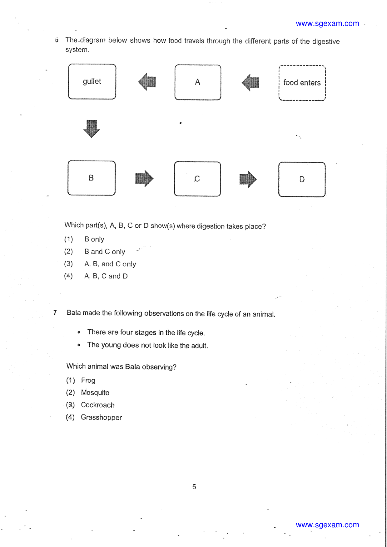 Page 5