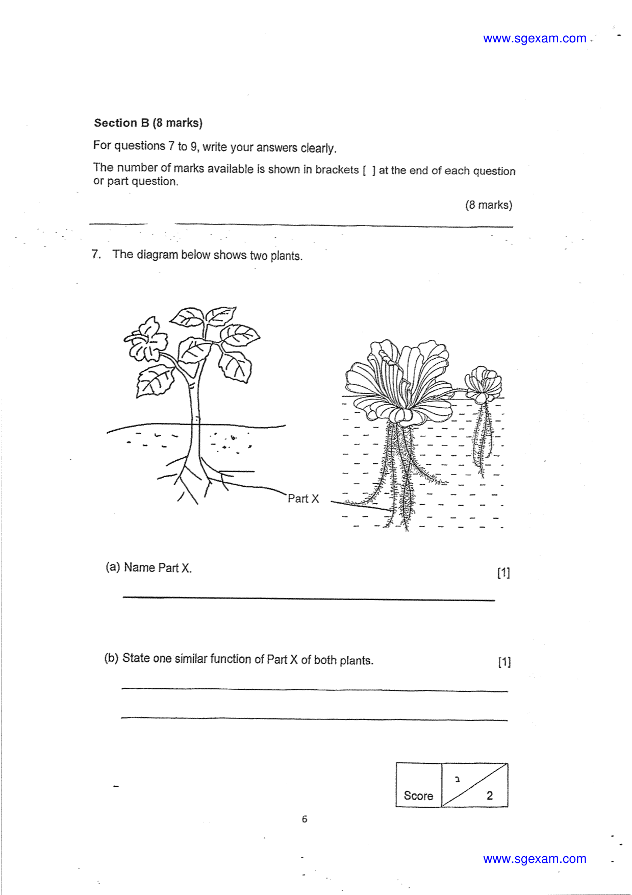 Answer Page 6