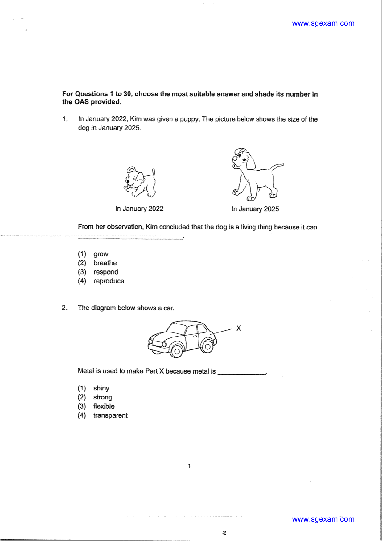 Page 3