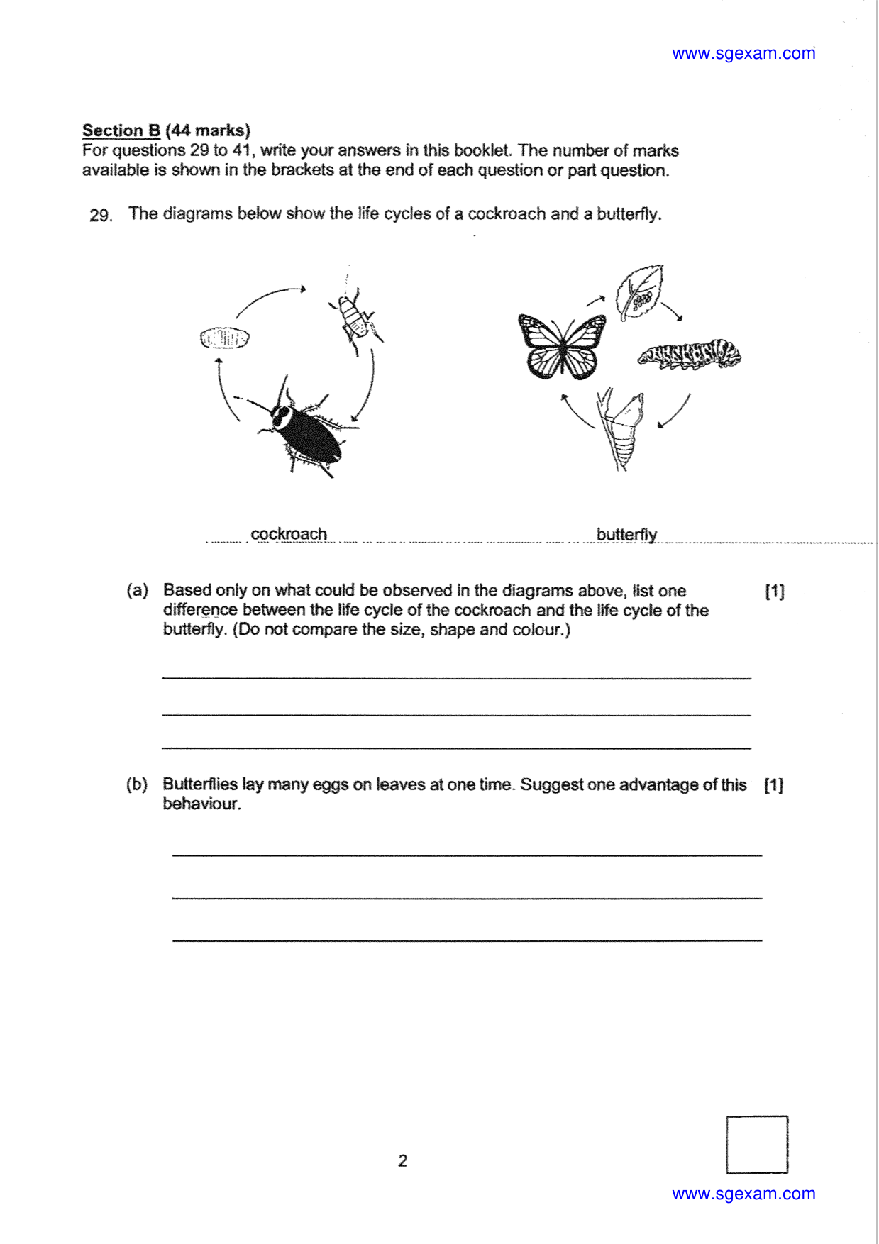 Answer Page 20