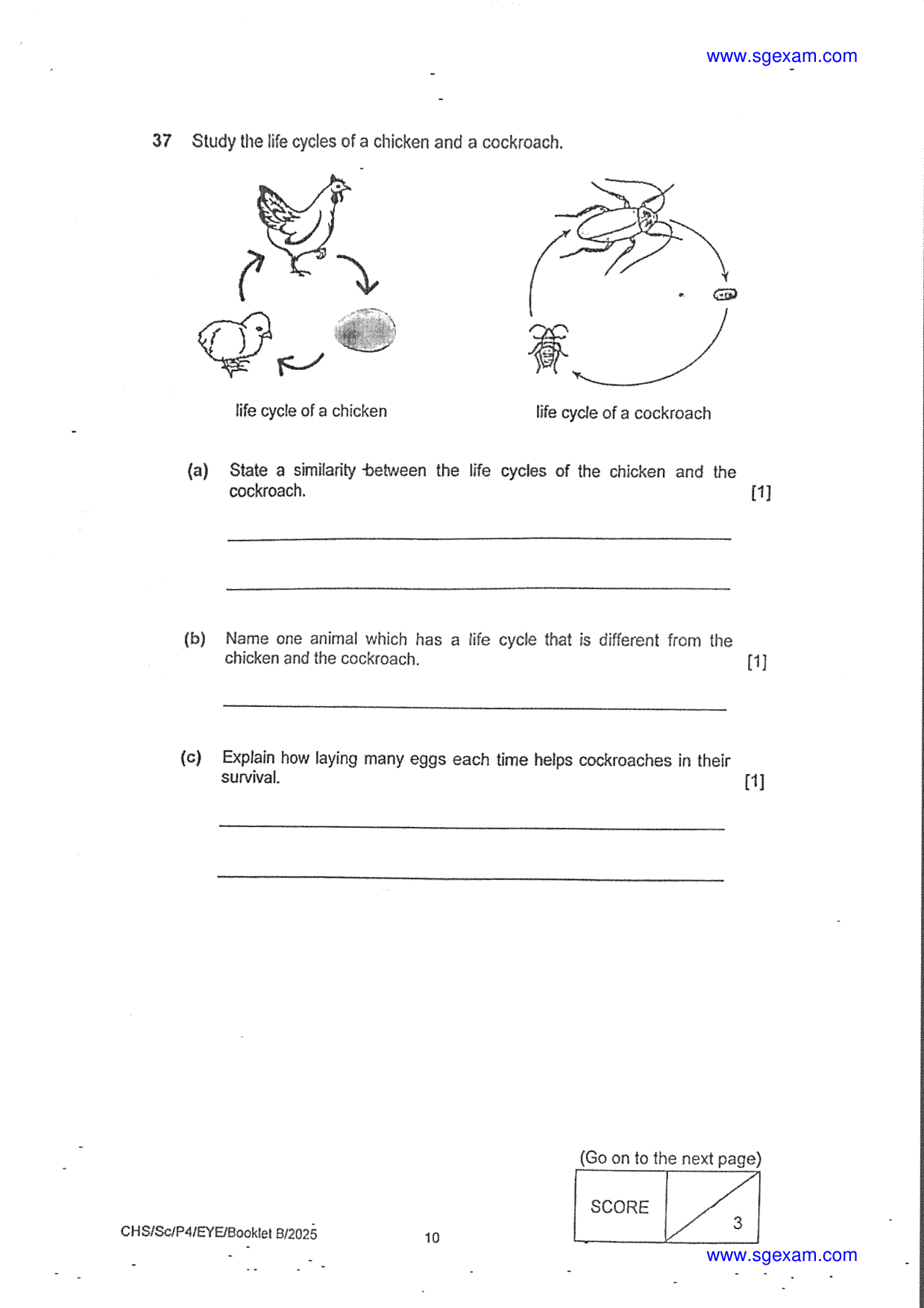 Answer Page 33