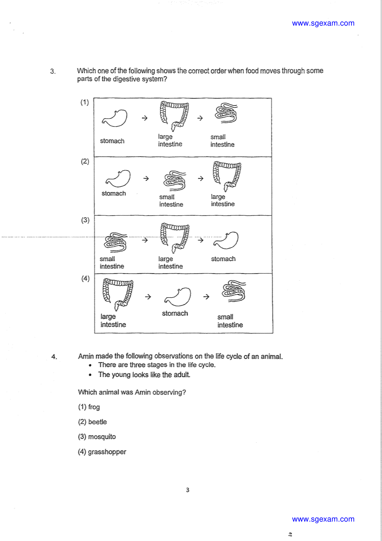 Page 3