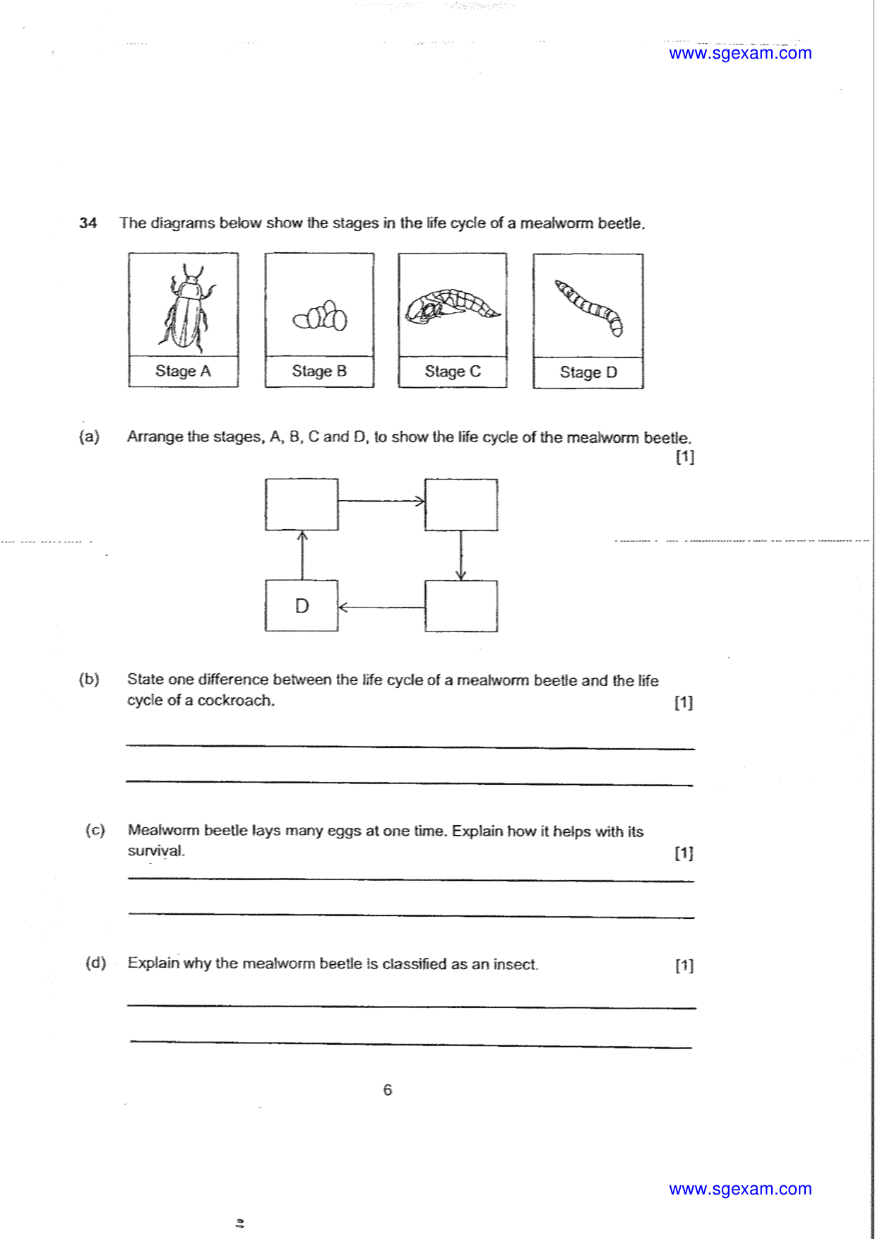 Answer Page 31