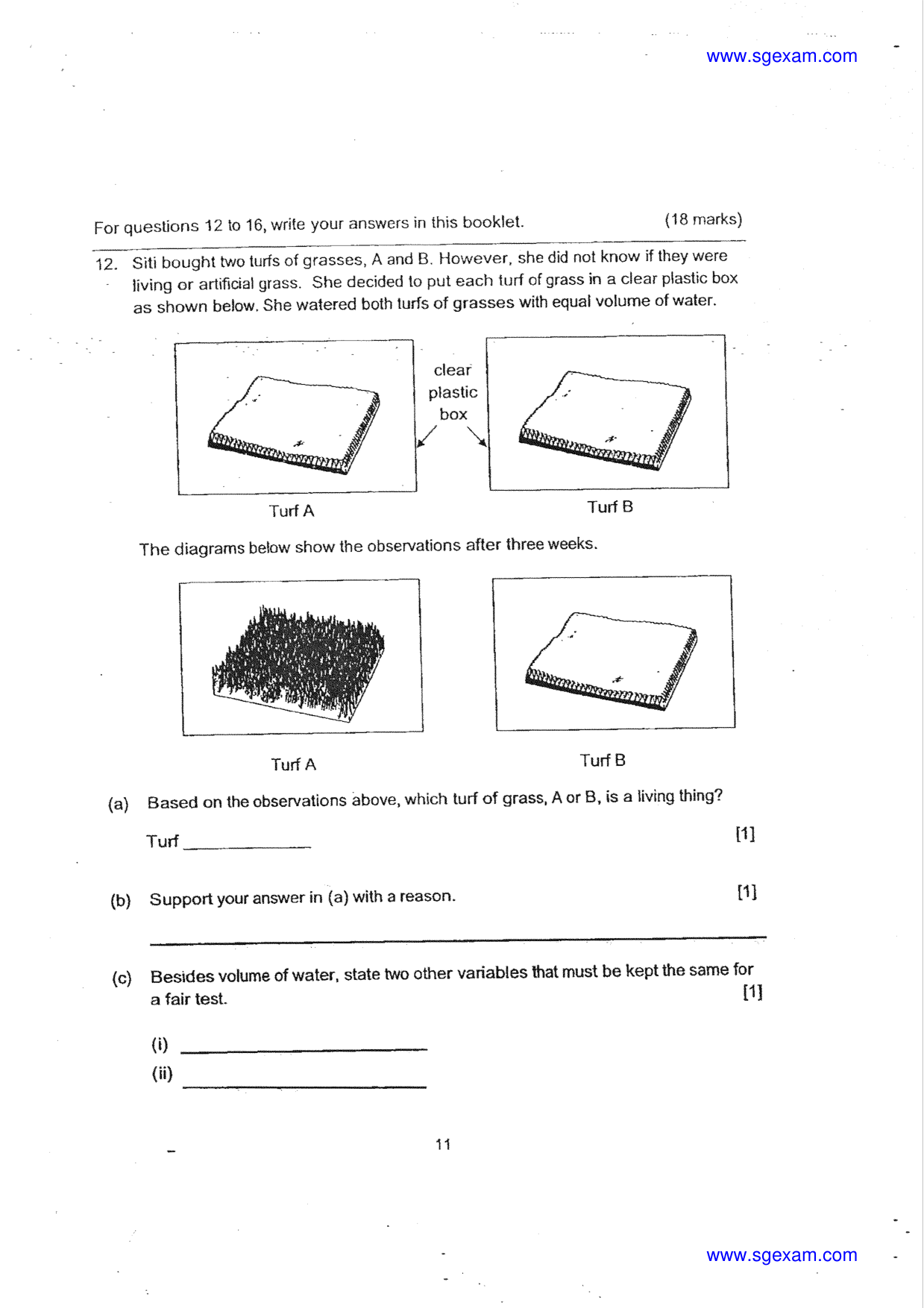 Answer Page 19