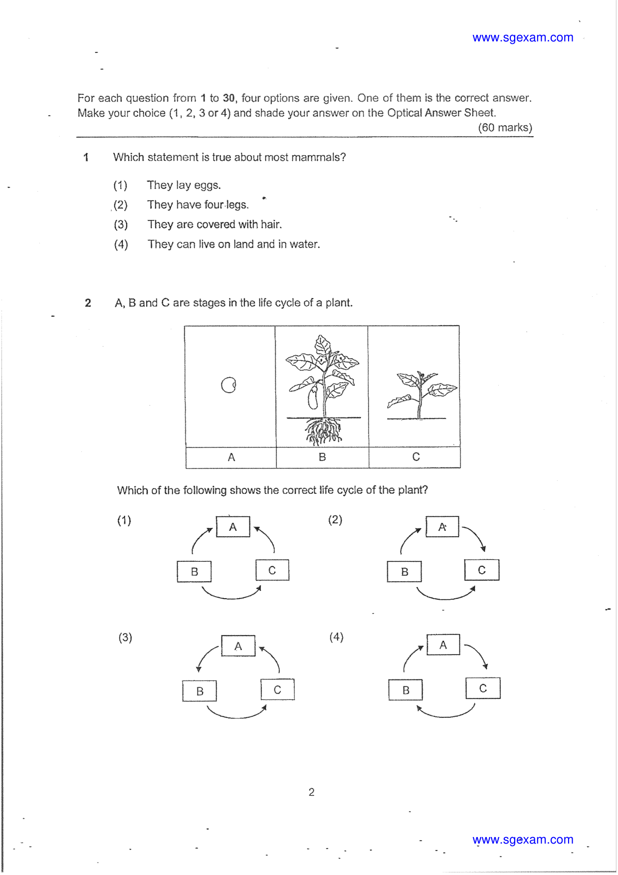 Page 2