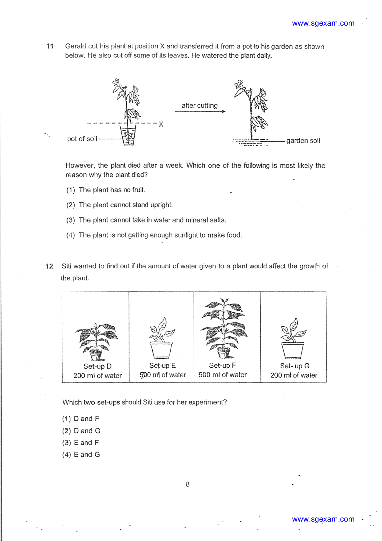 Page 8