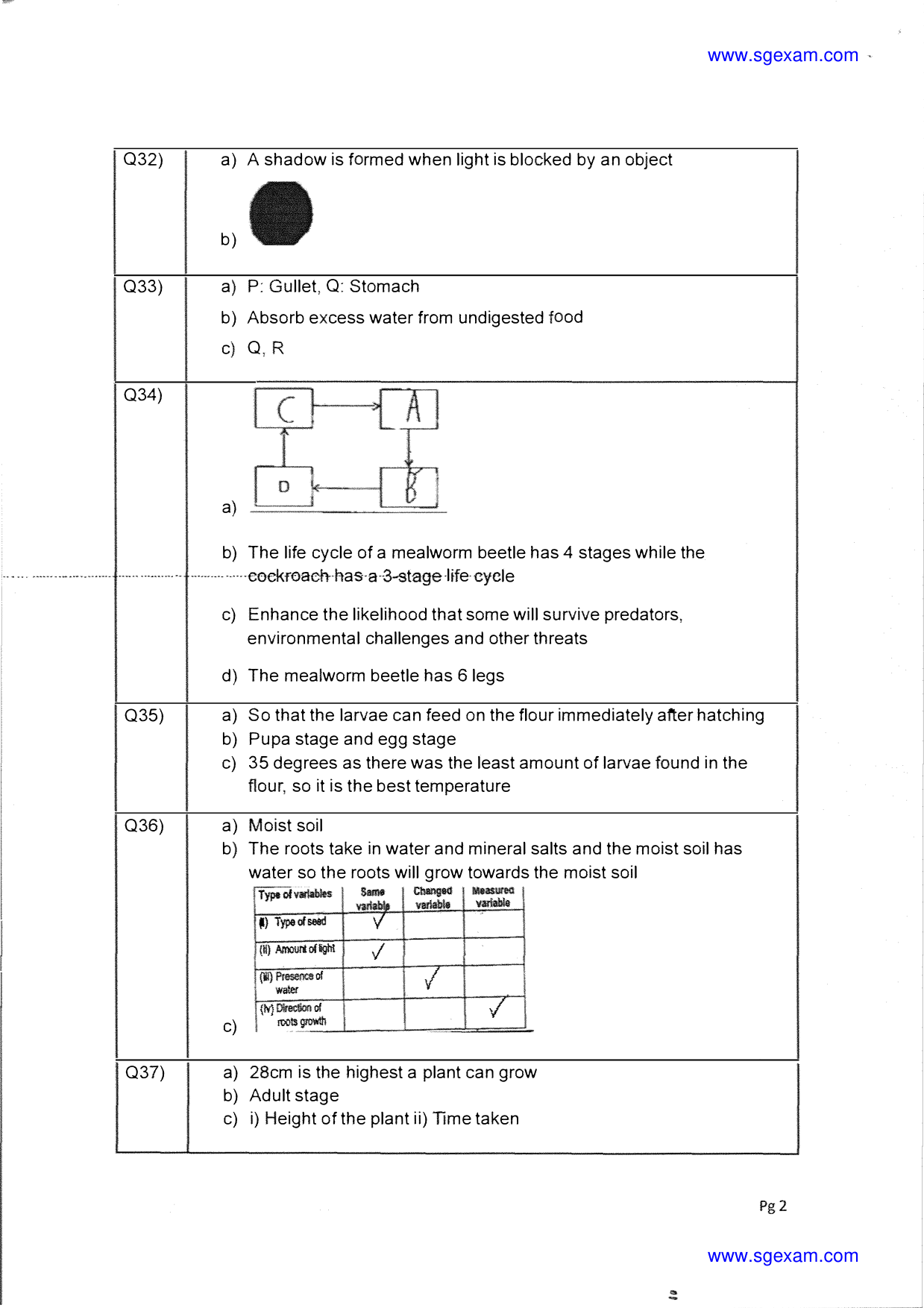 Answer Page 42