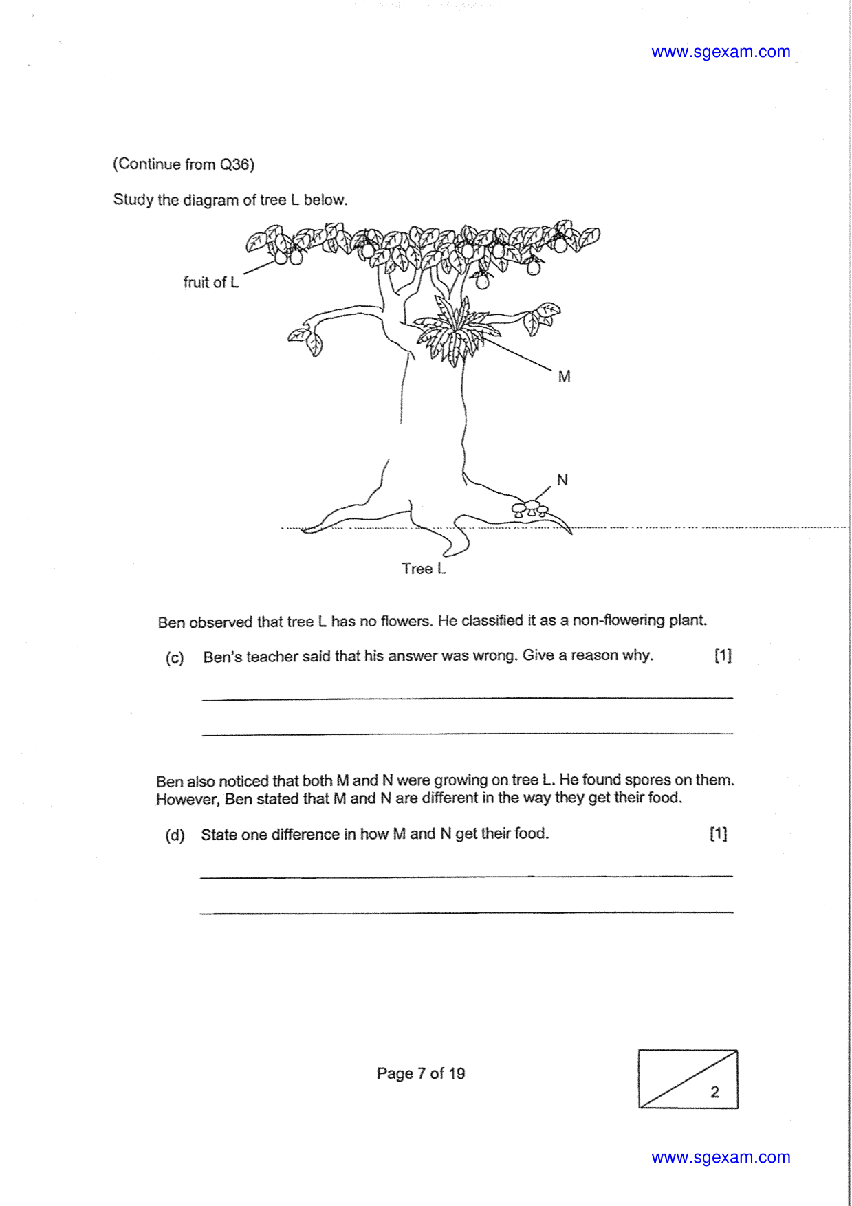 Answer Page 31