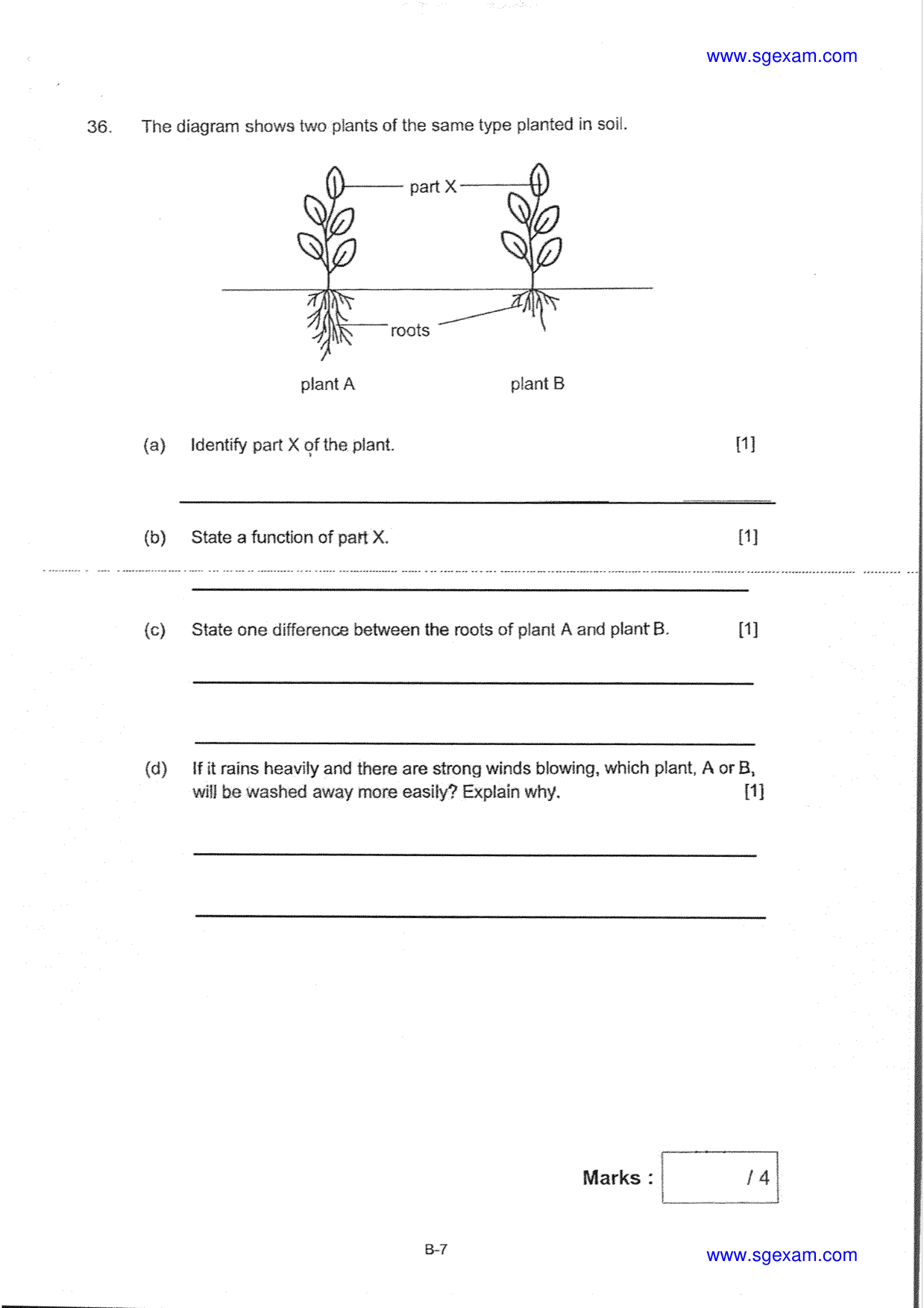 Answer Page 29