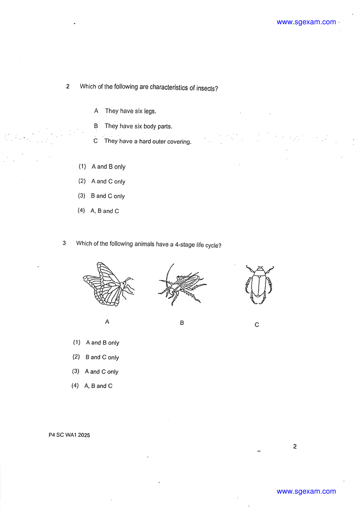 Page 2
