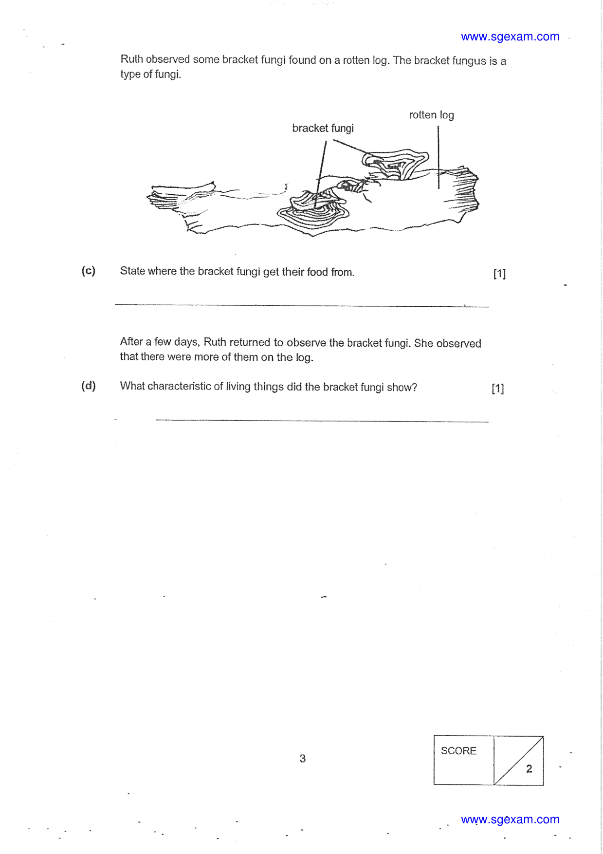 Answer Page 25