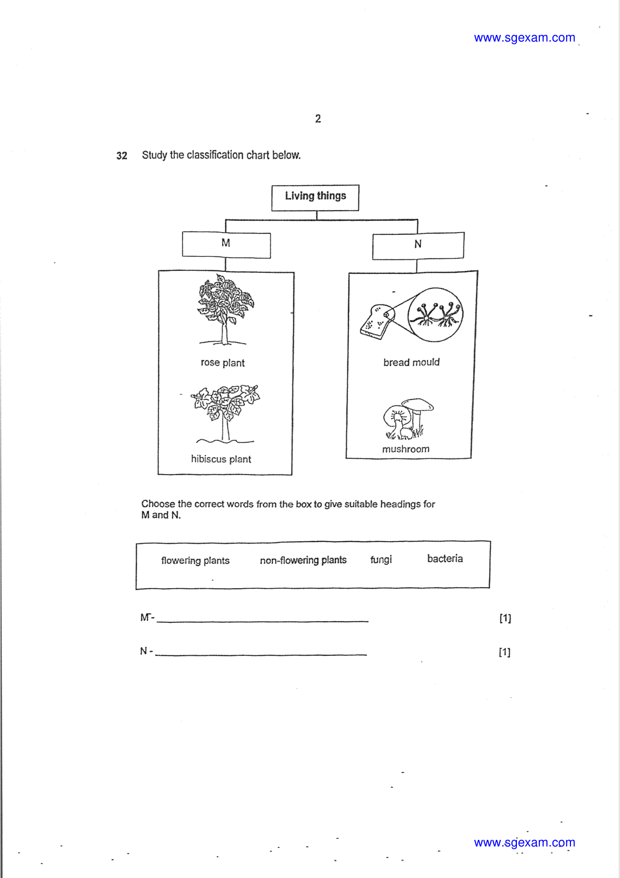 Answer Page 28