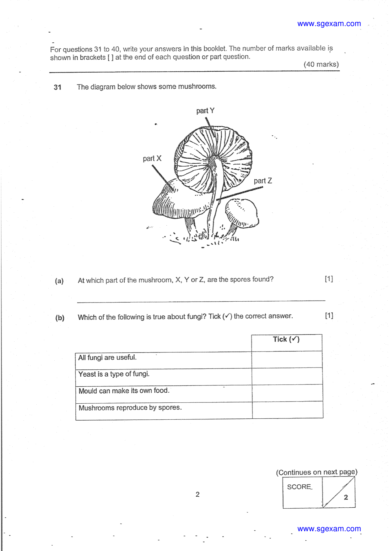 Answer Page 24