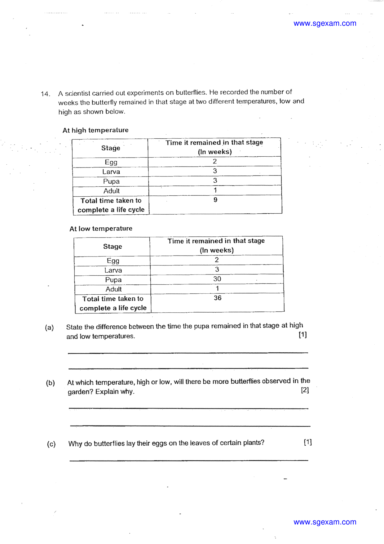 Answer Page 21