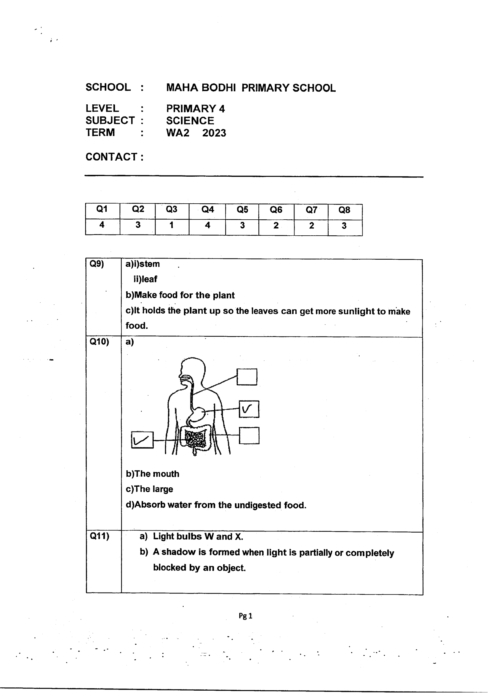 Answer Page 11