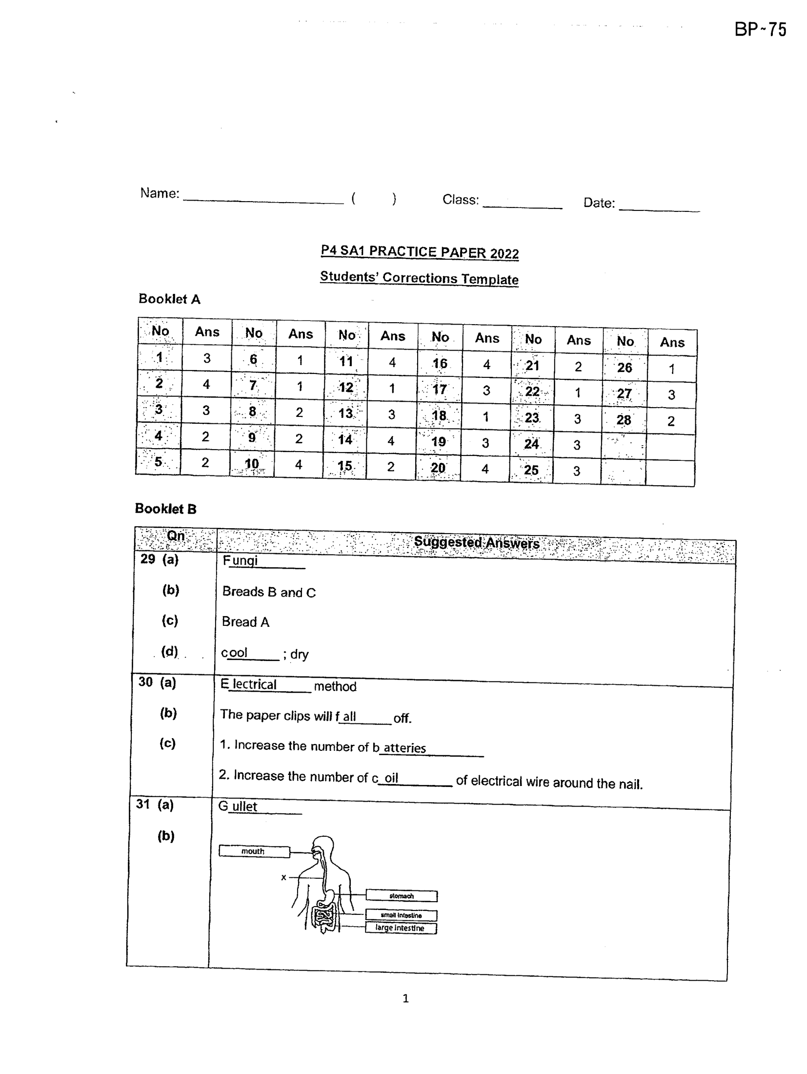 Answer Page 33