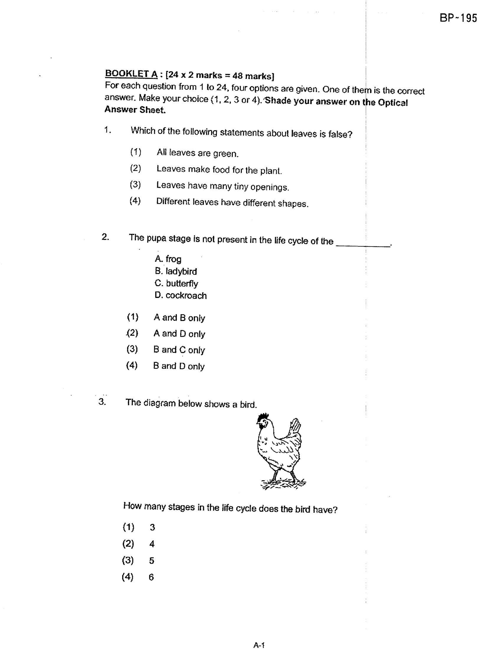 Page 3