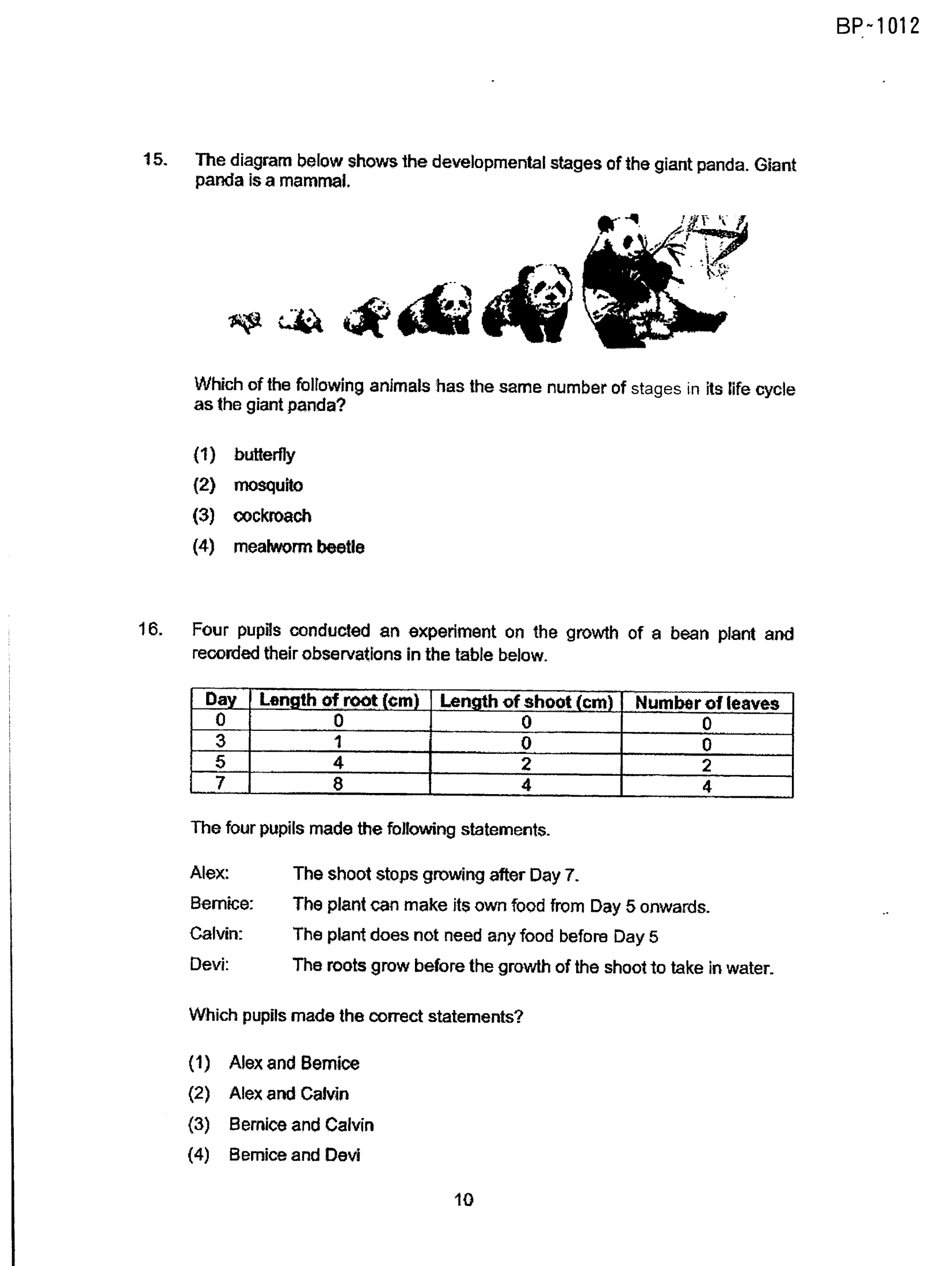 Page 10