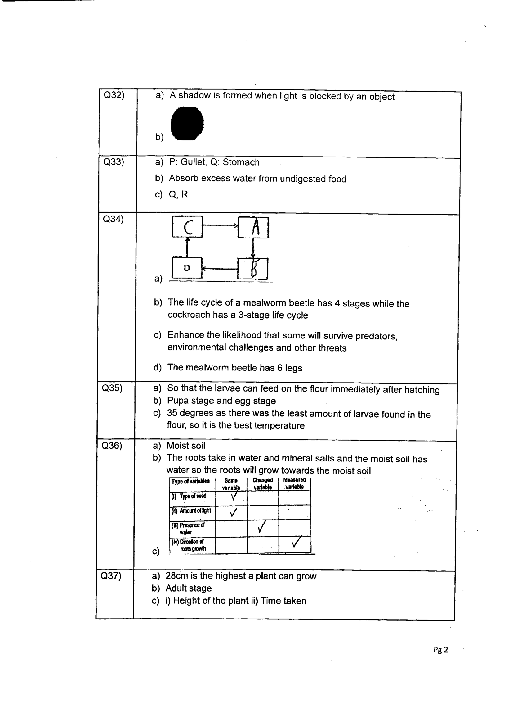 Answer Page 42