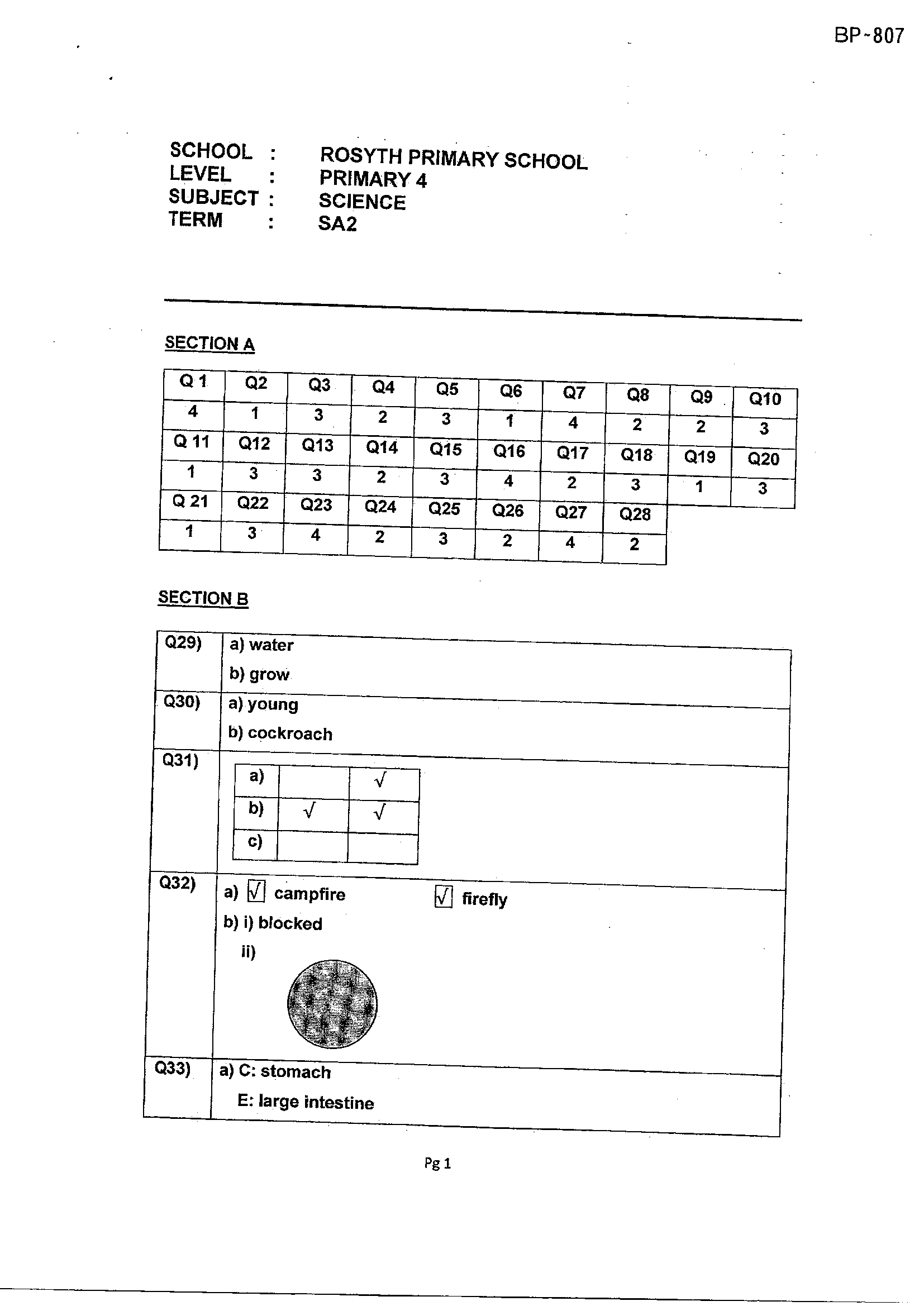Answer Page 37