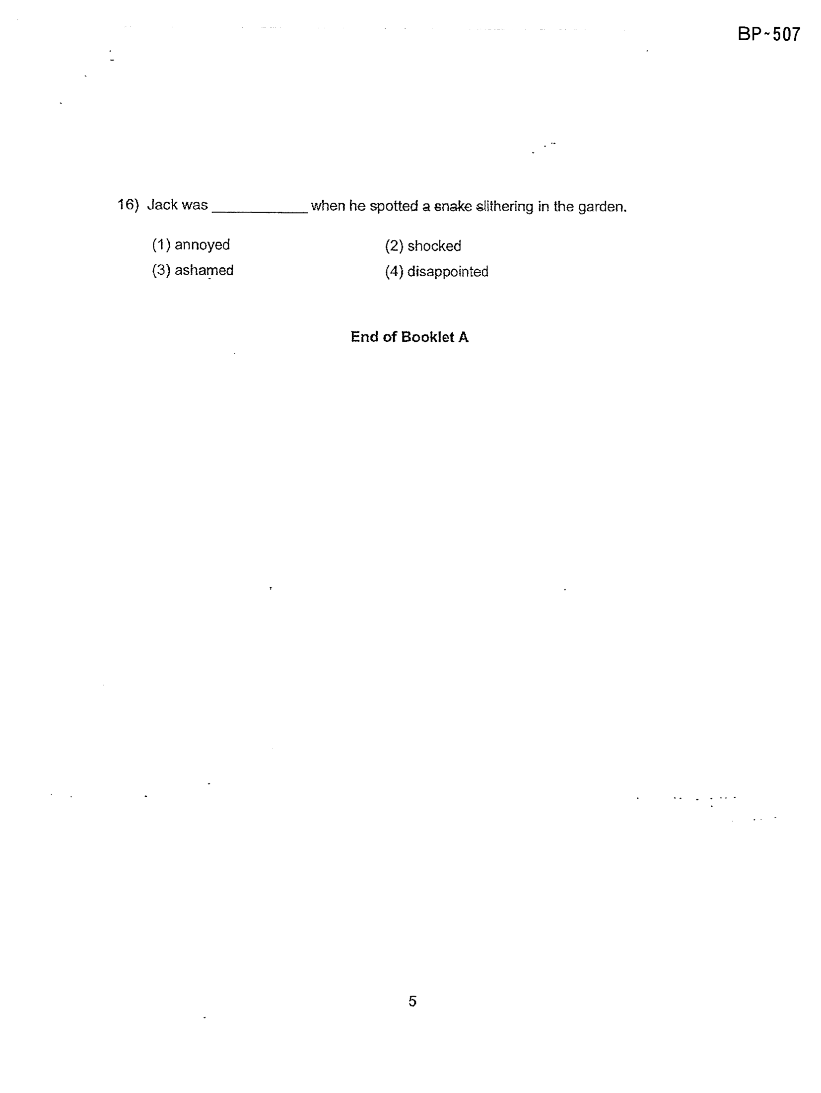 Page 5