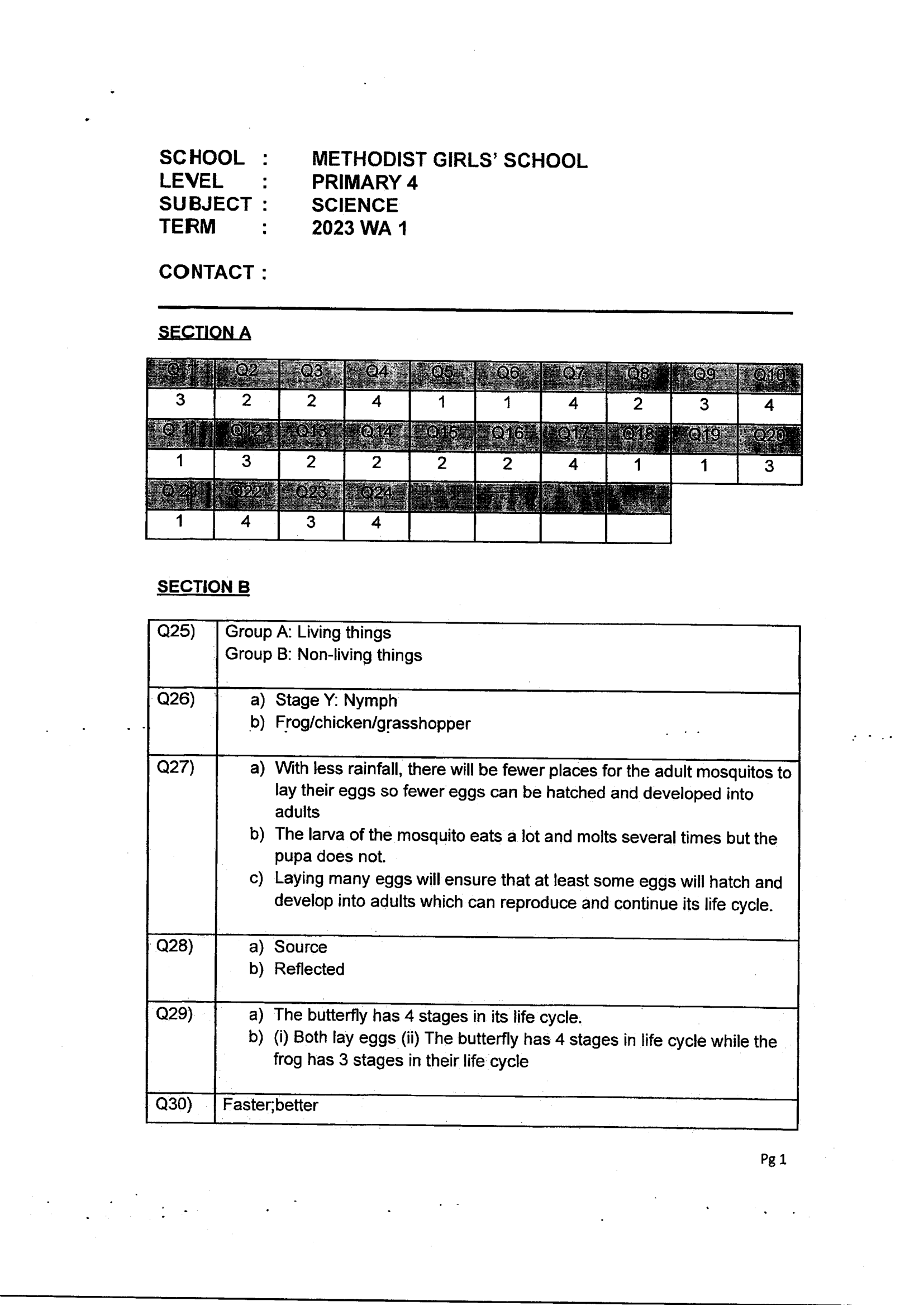 Answer Page 29
